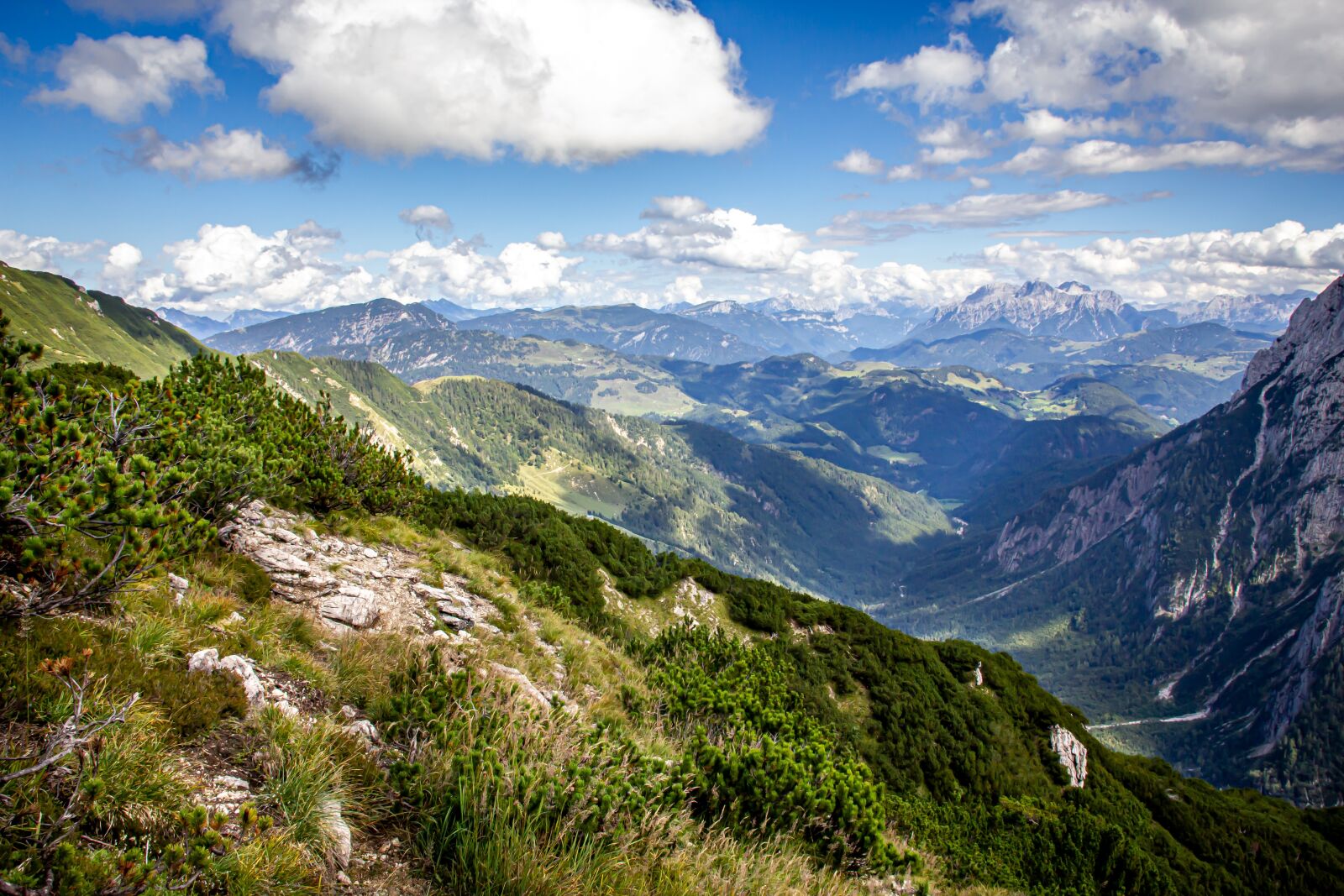 Canon EOS 550D (EOS Rebel T2i / EOS Kiss X4) sample photo. Alpine, summit, summer photography