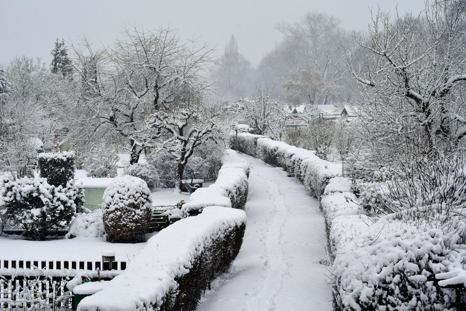 Nikon D3300 sample photo. Winter, snow, cold photography