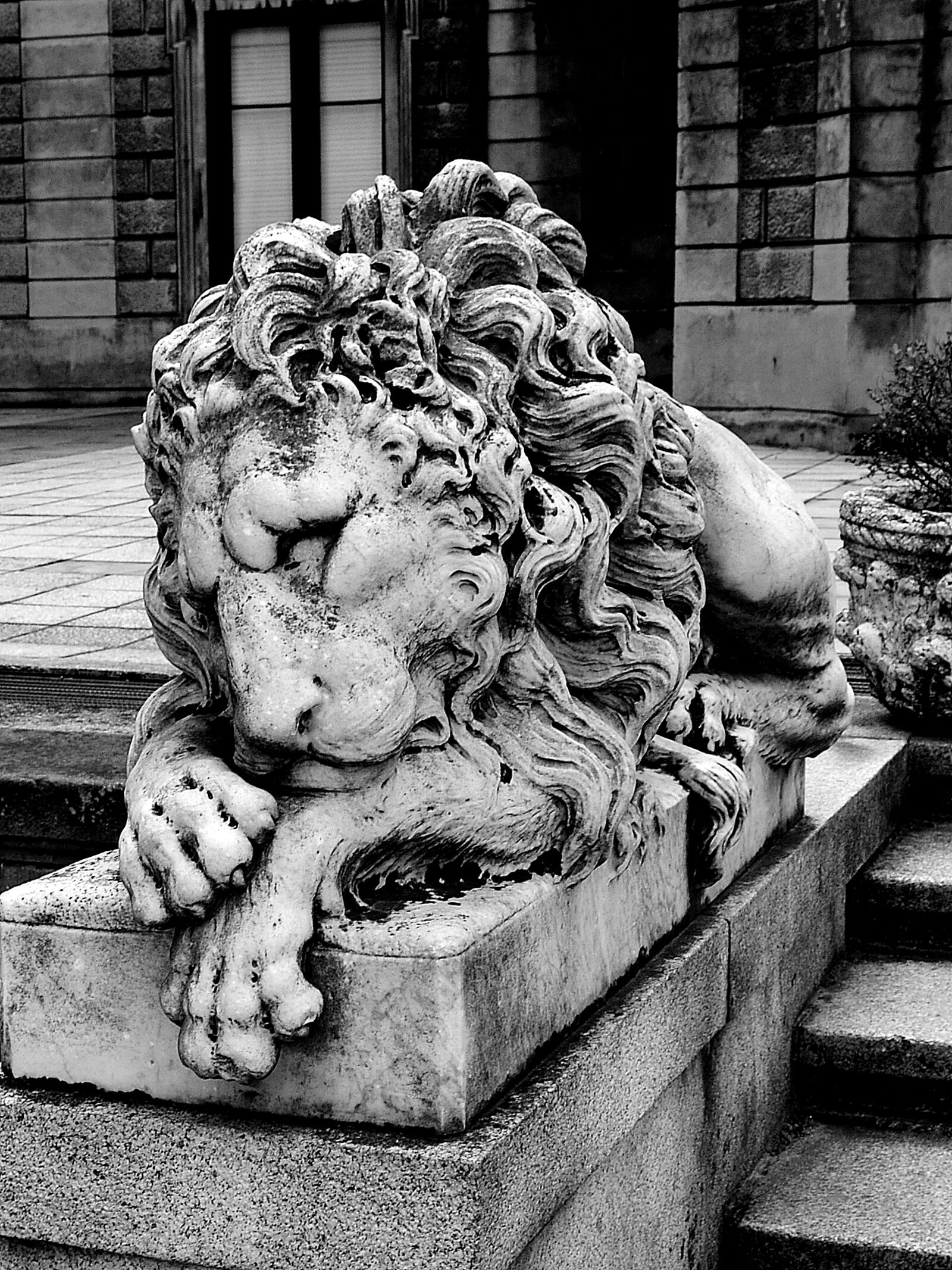 Nikon D3100 sample photo. Lion, sculpture, statue photography