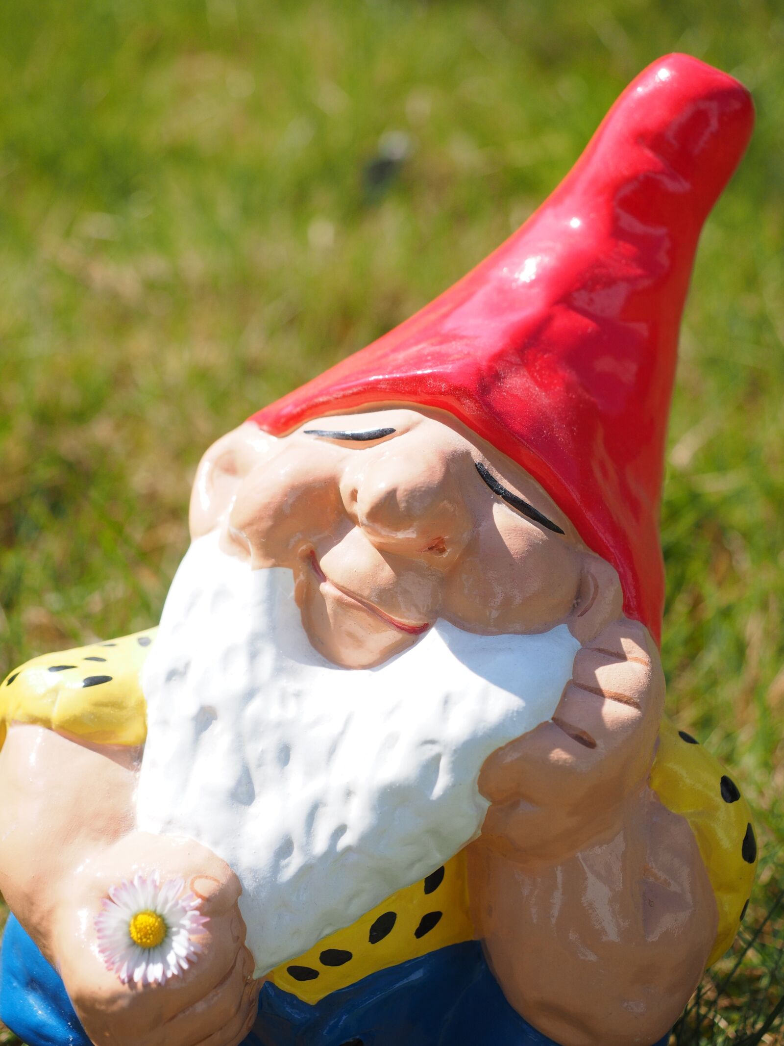Olympus OM-D E-M1 + Olympus M.Zuiko Digital ED 12-40mm F2.8 Pro sample photo. Dwarf, garden gnome, satisfied photography