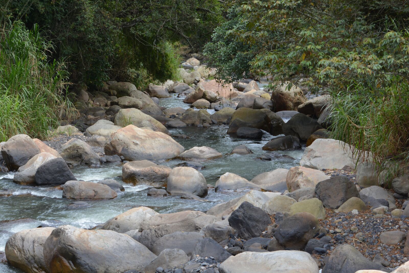 Nikon D7100 sample photo. River, nature, brook photography