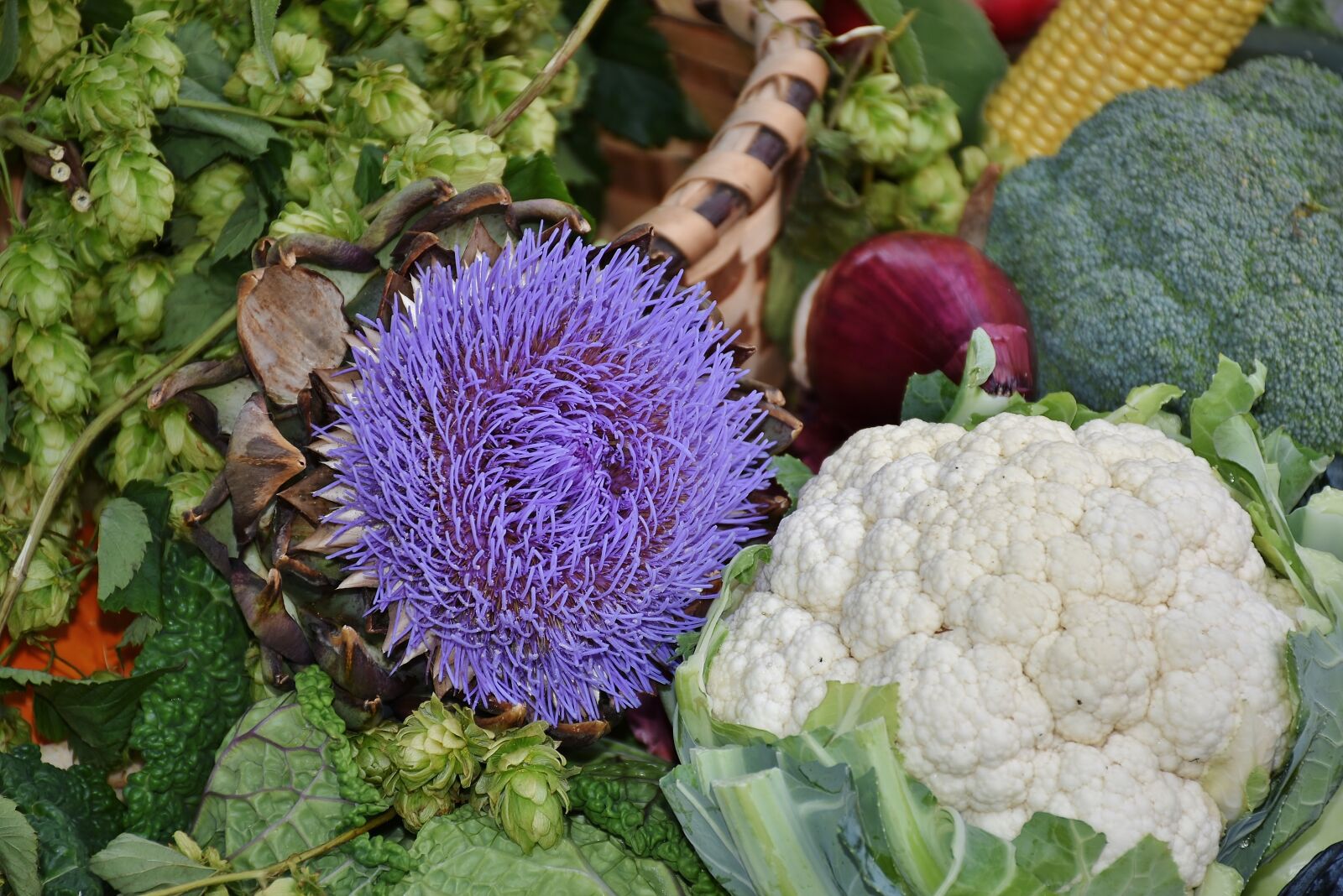 Nikon D7200 sample photo. Cauliflower, red cabbage, savoy photography