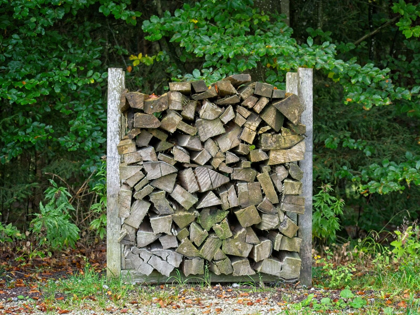 Nikon D7100 sample photo. Wood, firewood, stack photography