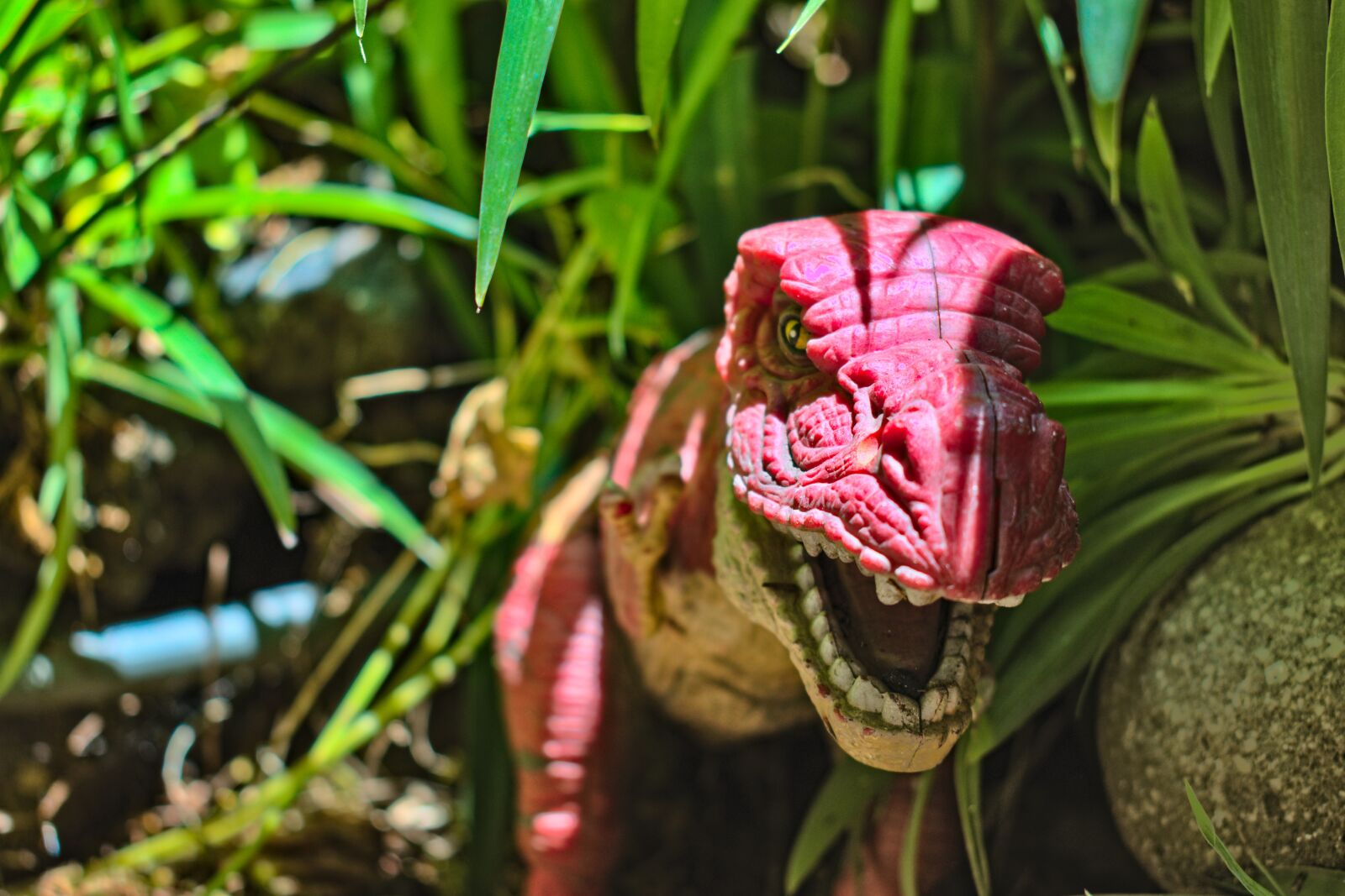 Nikon D5600 sample photo. Dinosaur, tyrannosaurus, dinosaurs photography
