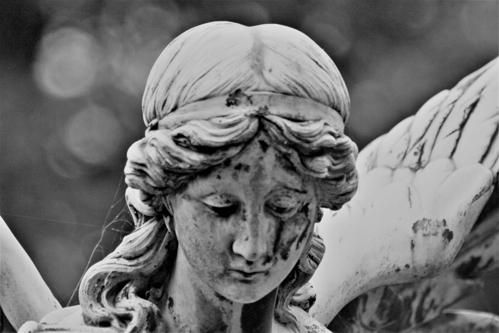 Canon EOS 1000D (EOS Digital Rebel XS / EOS Kiss F) sample photo. Statue, sculpture, bw photography