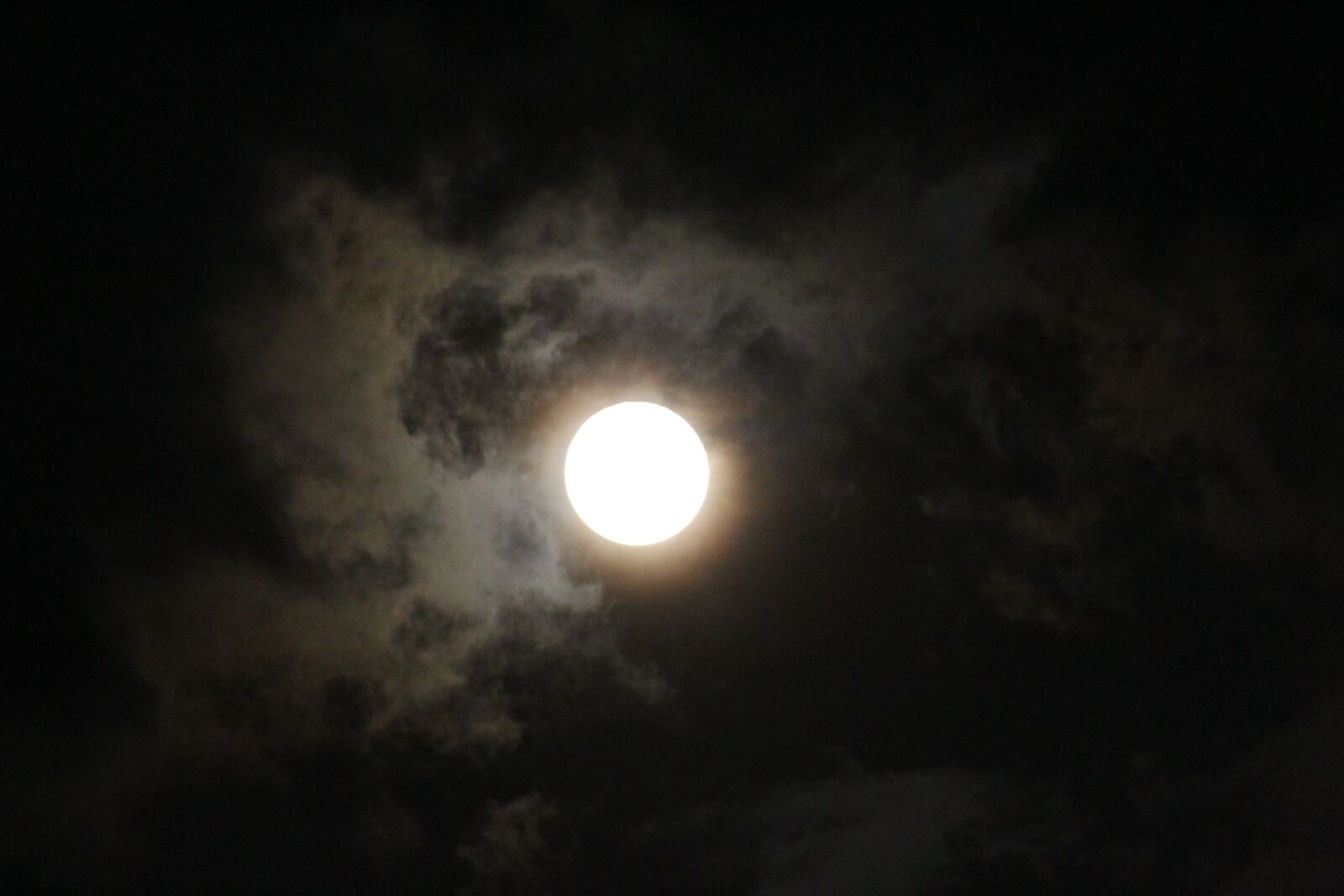 Canon EOS 1300D (EOS Rebel T6 / EOS Kiss X80) sample photo. Canoneos1300d, canon, night photography