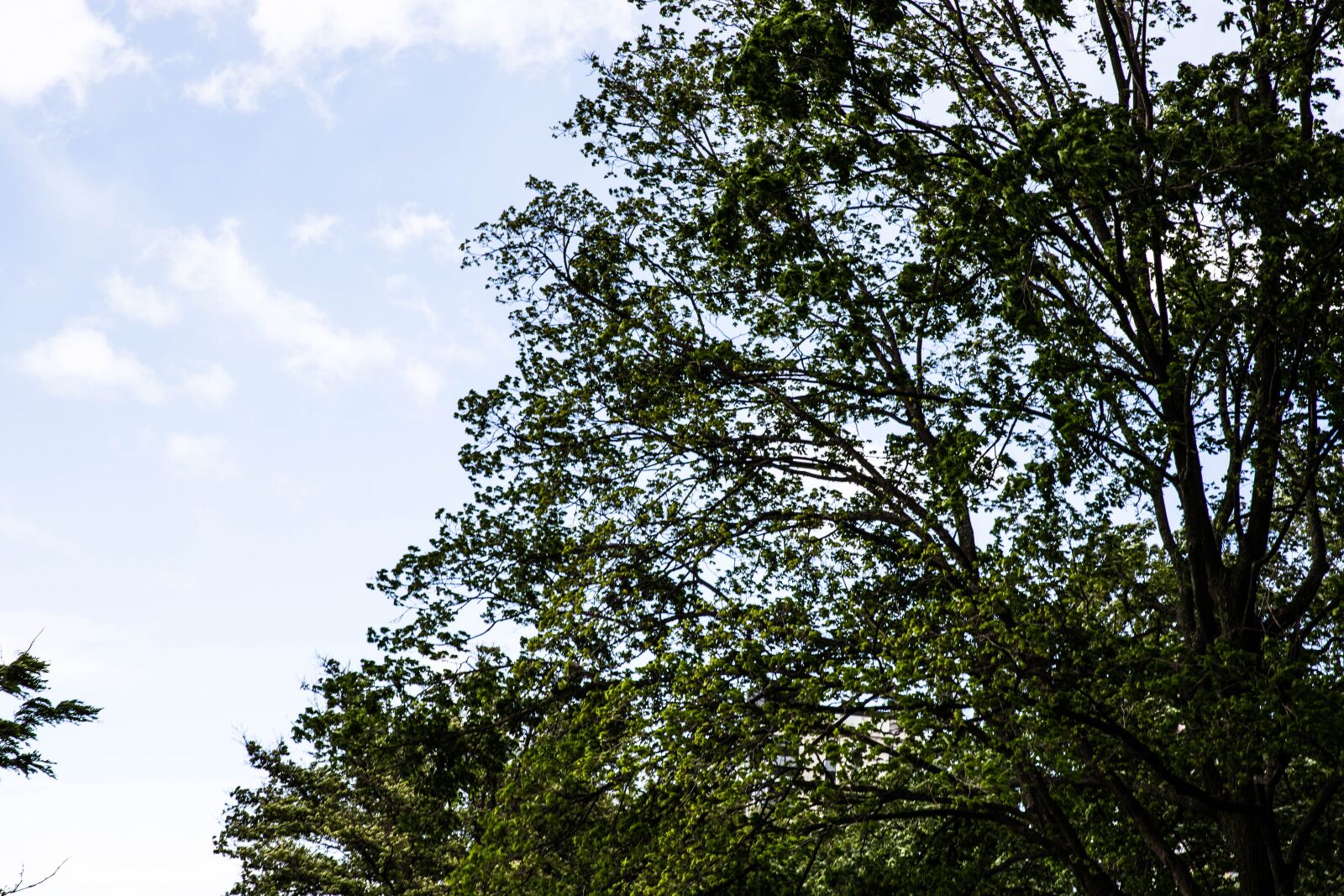 Canon EOS 6D sample photo