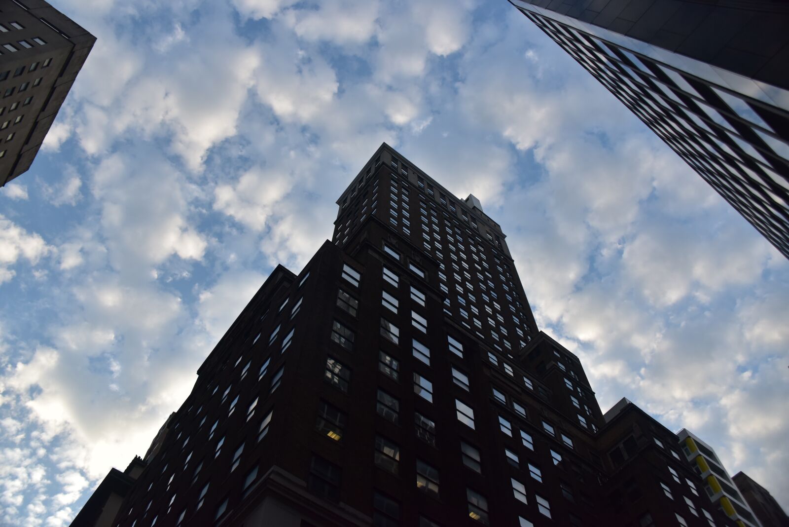 Nikon D810 sample photo. New york, united states photography