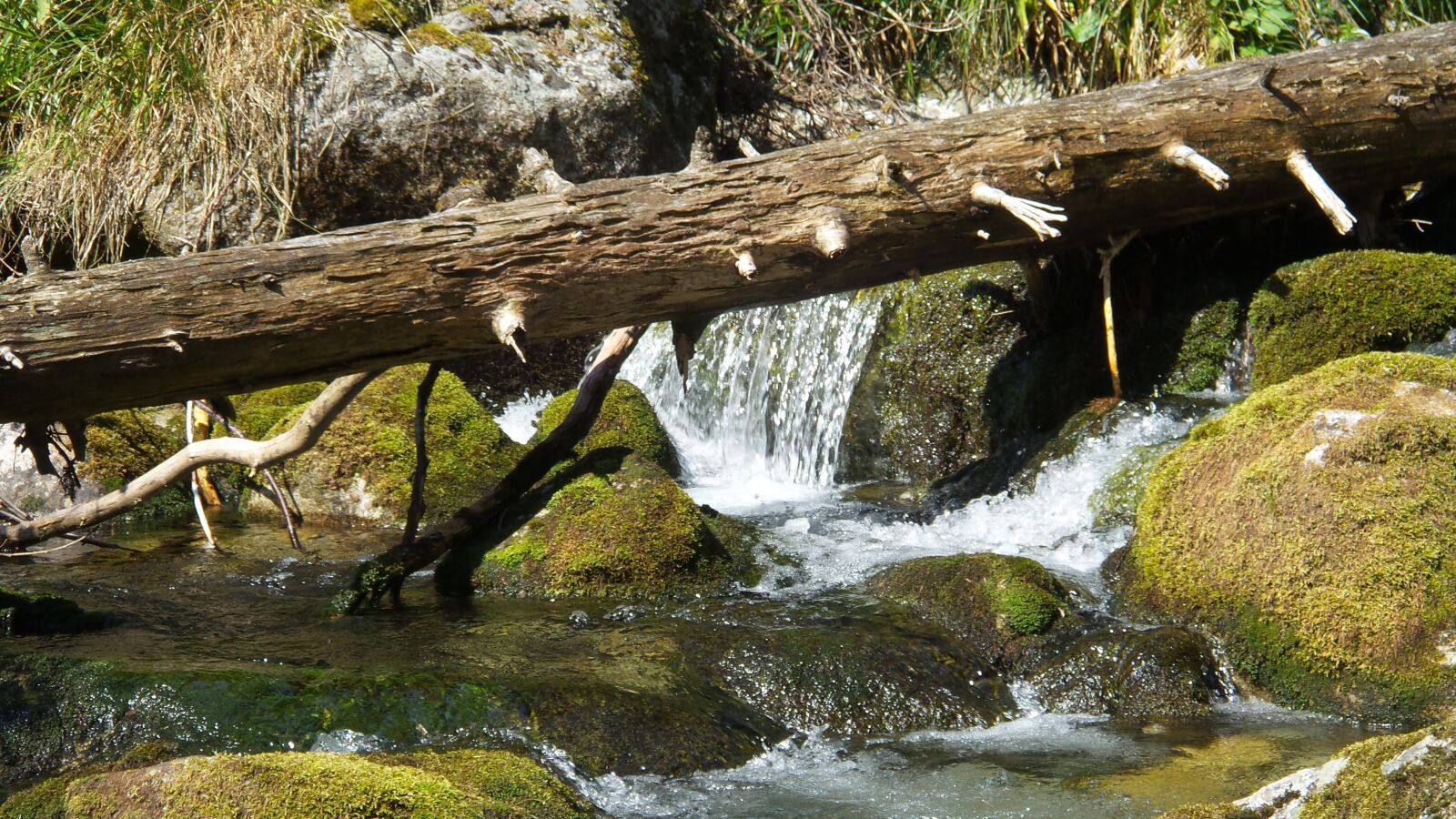 Samsung Galaxy S4 Zoom sample photo. Creek, water, tatry photography