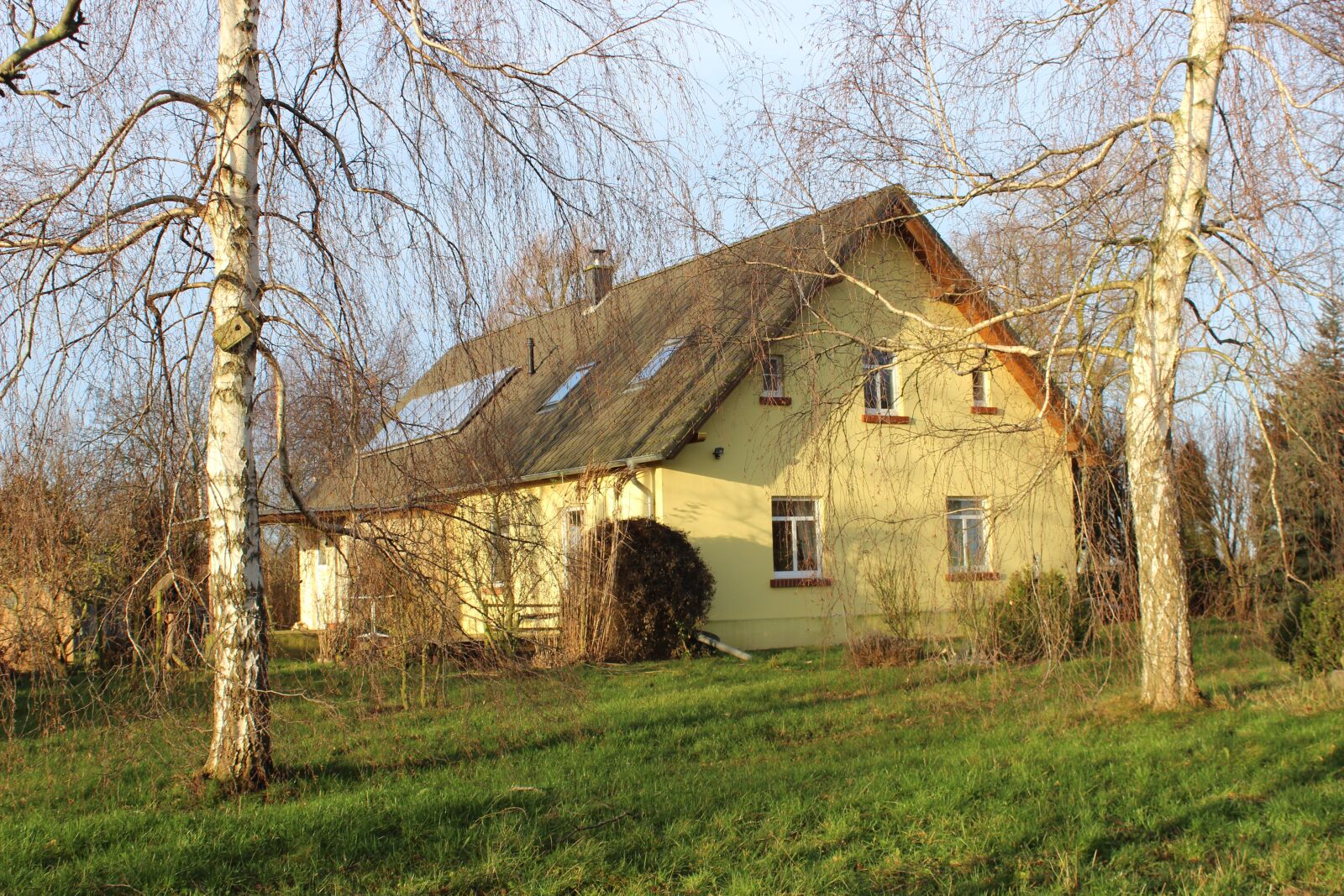 Canon EOS 600D (Rebel EOS T3i / EOS Kiss X5) sample photo. Winter sun, hermitage, morning photography