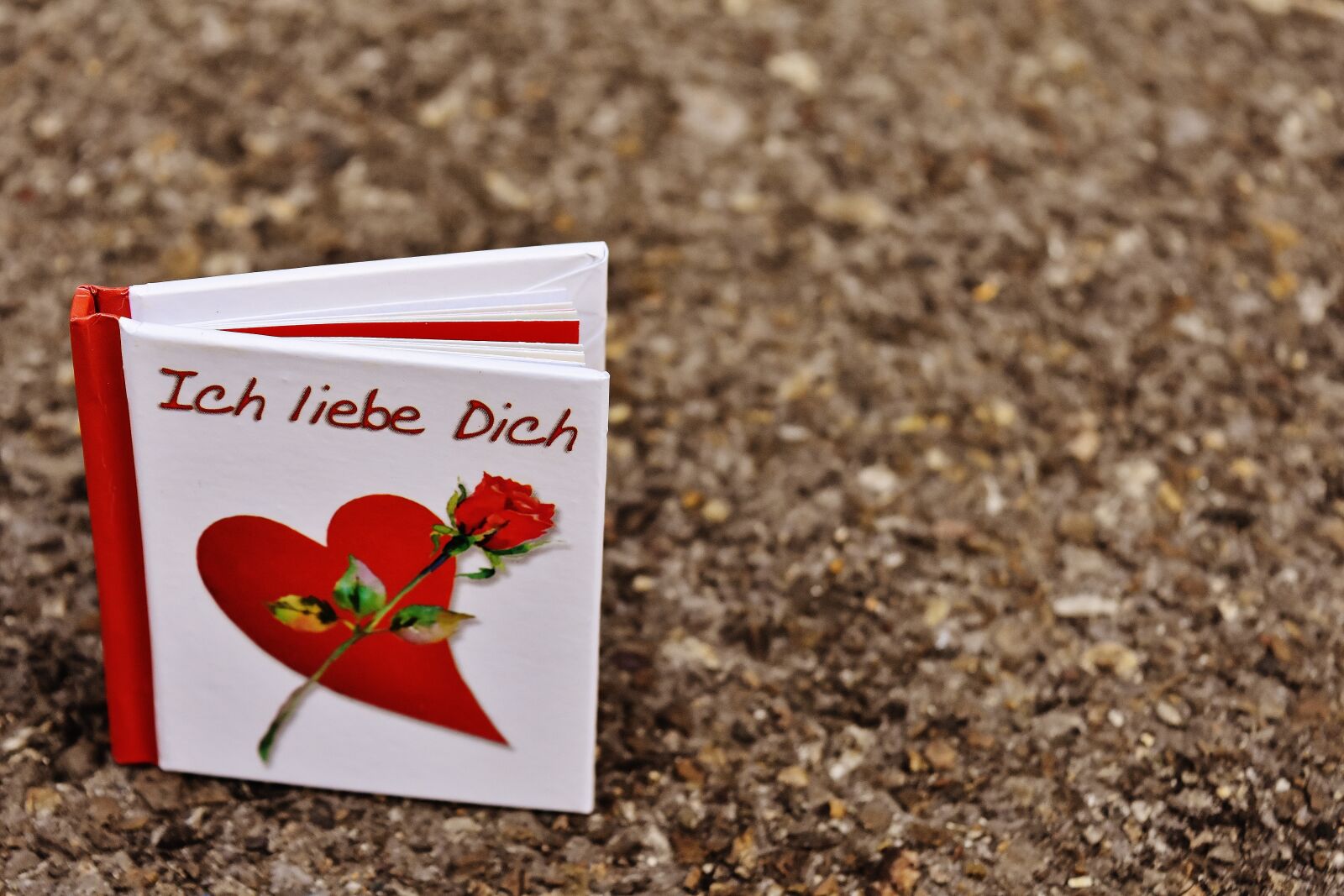 Nikon D7200 sample photo. Book, greeting card, love photography