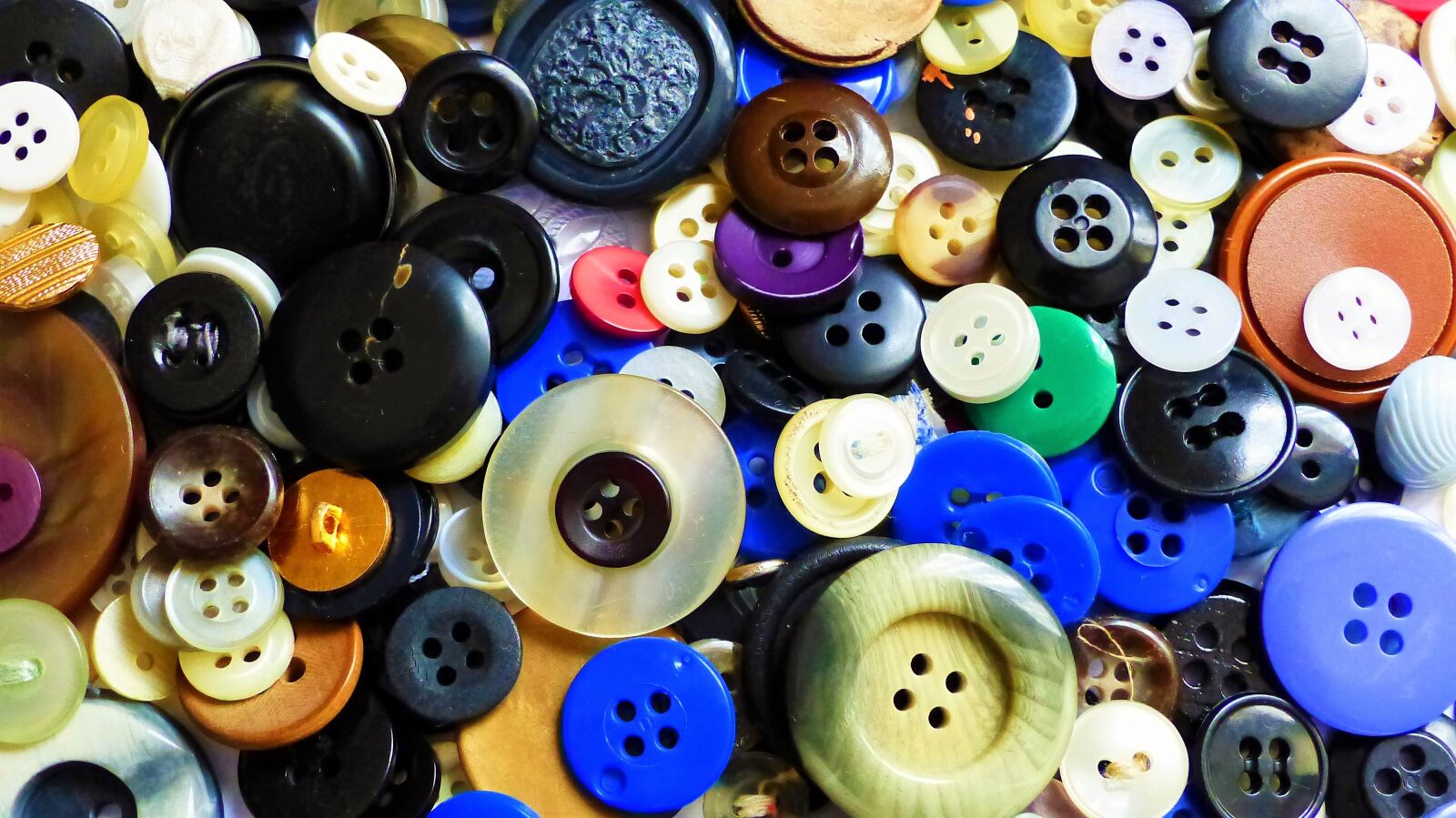 Panasonic Lumix DMC-FZ200 sample photo. Buttons, color, jacket photography