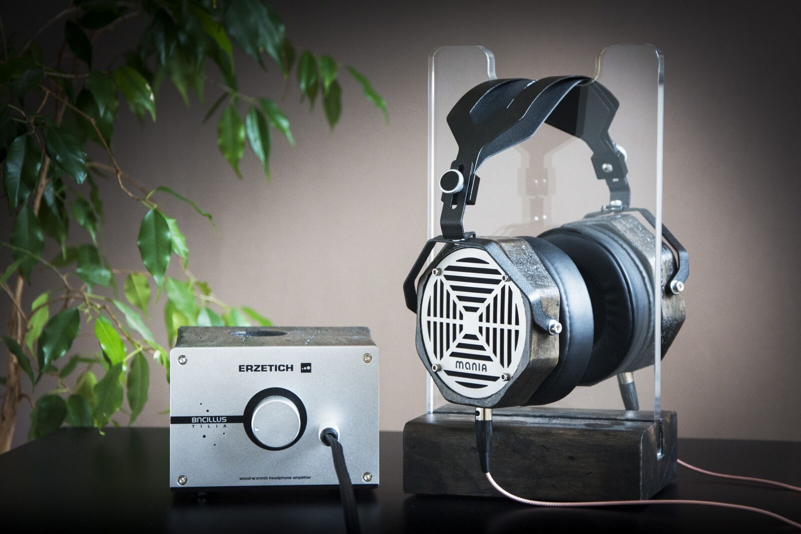 Nikon D7200 sample photo. Headphone amplifier, music, equipment photography