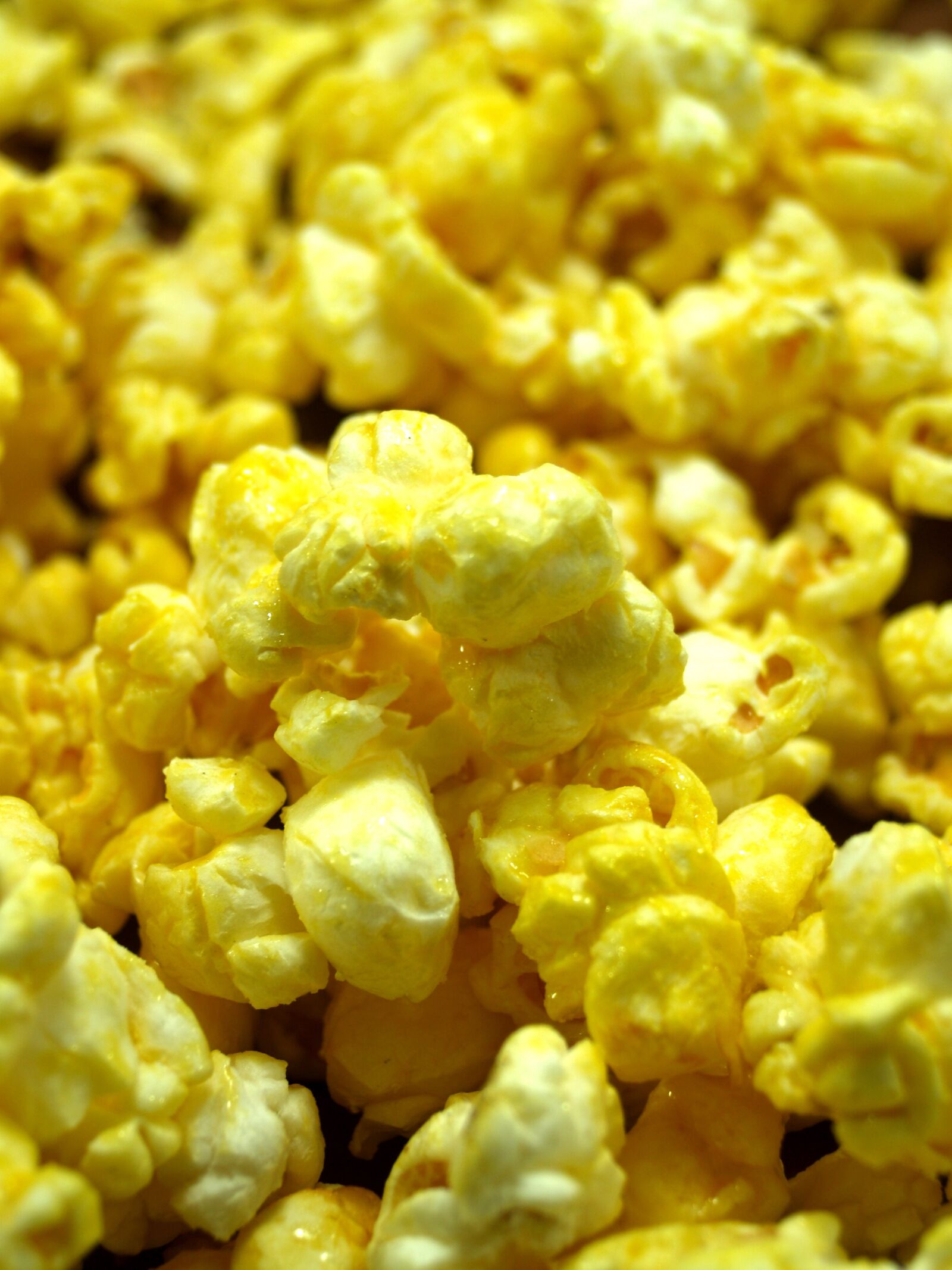 Olympus E-300 (EVOLT E-300) sample photo. Popcorn, corn, pop photography