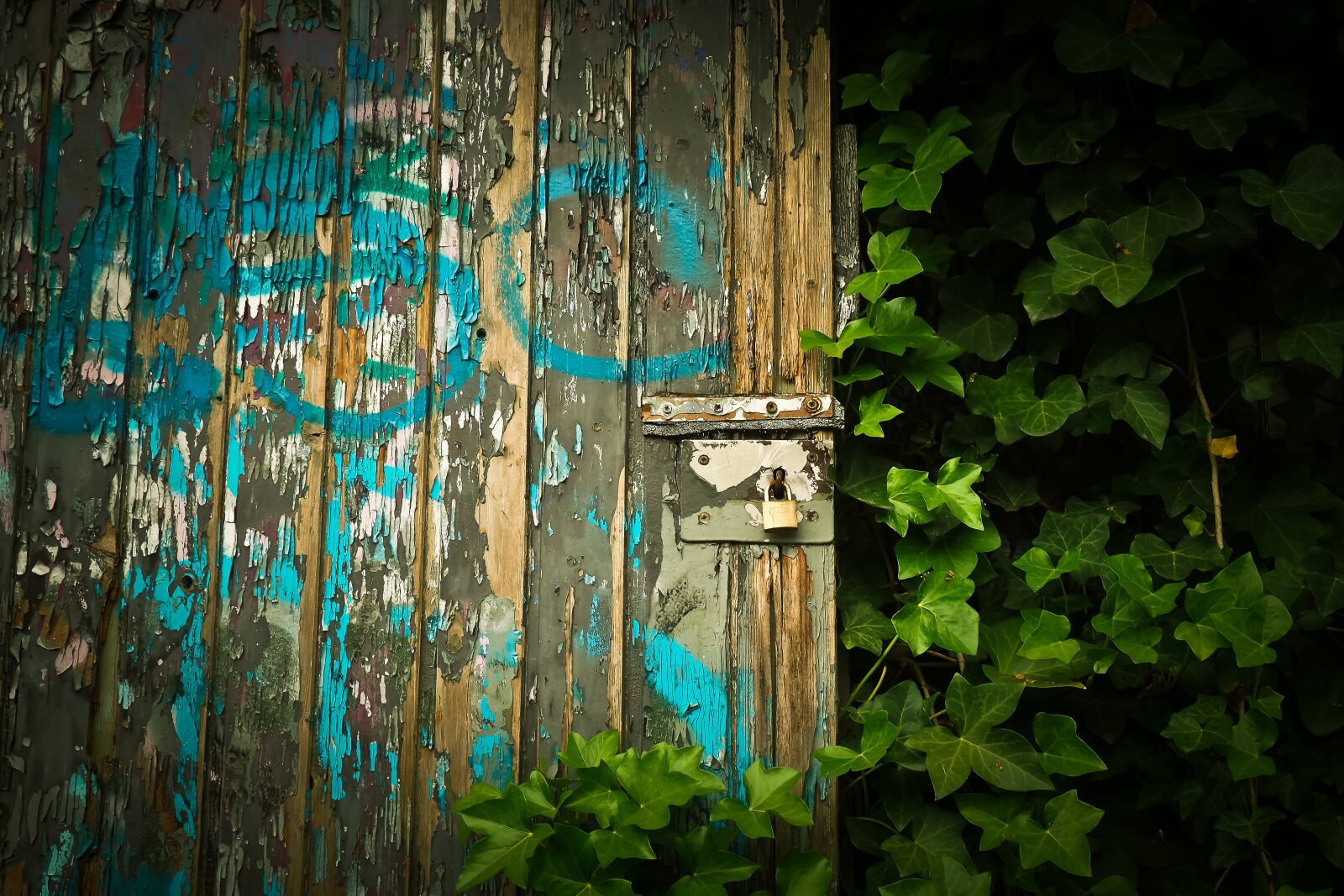 Olympus OM-D E-M10 sample photo. Goal, door, old door photography