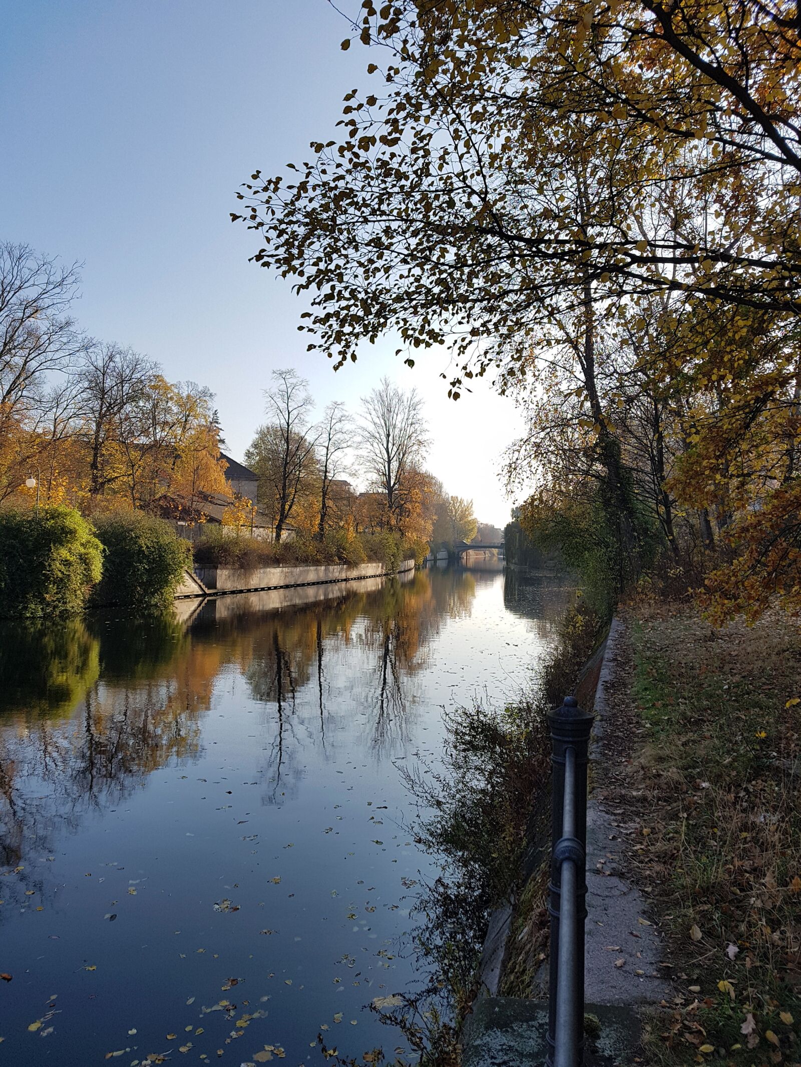 Samsung Galaxy S7 sample photo. Autumn, berlin, nature photography