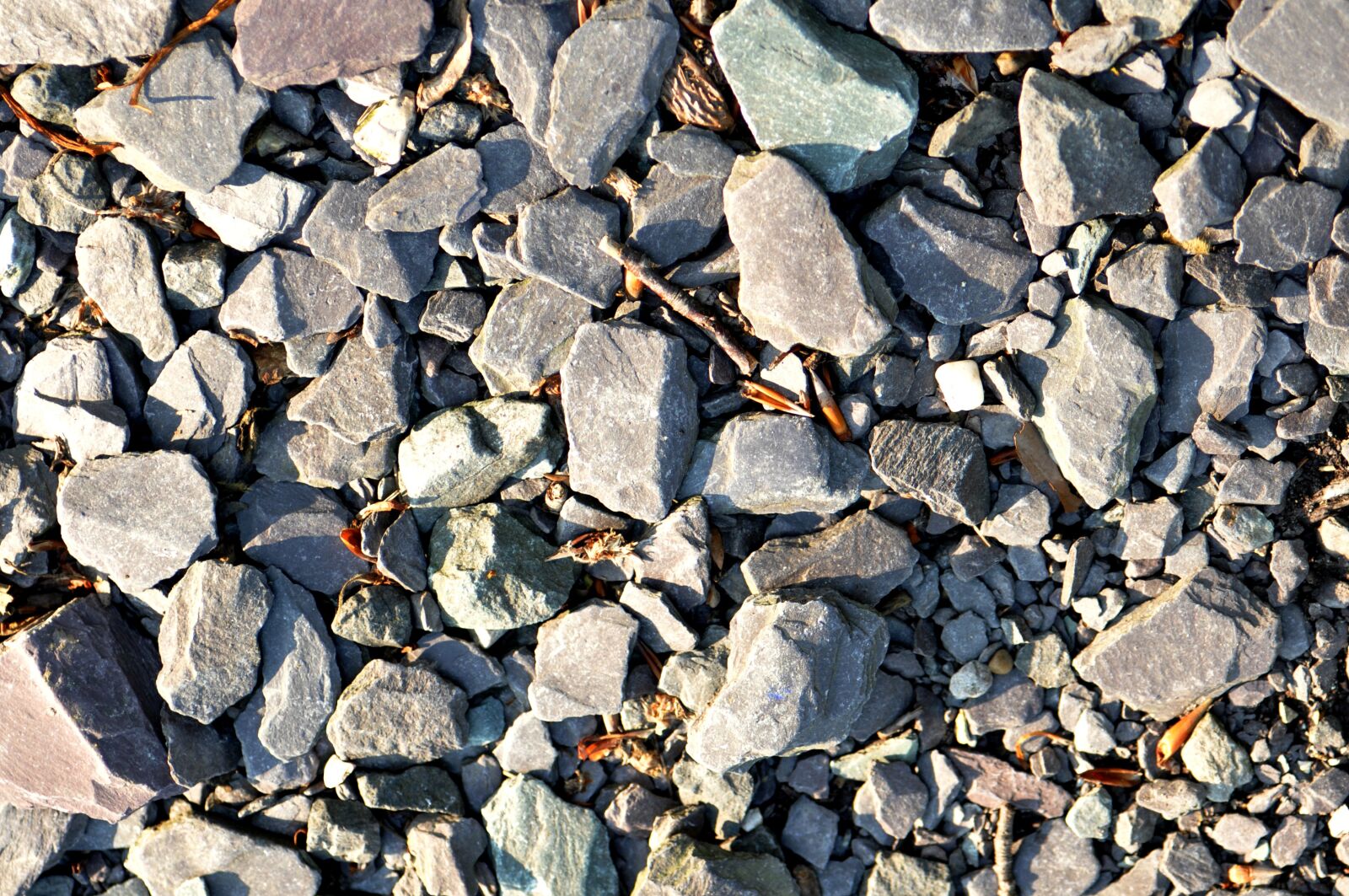 Nikon D90 sample photo. Stone, pebble, path photography