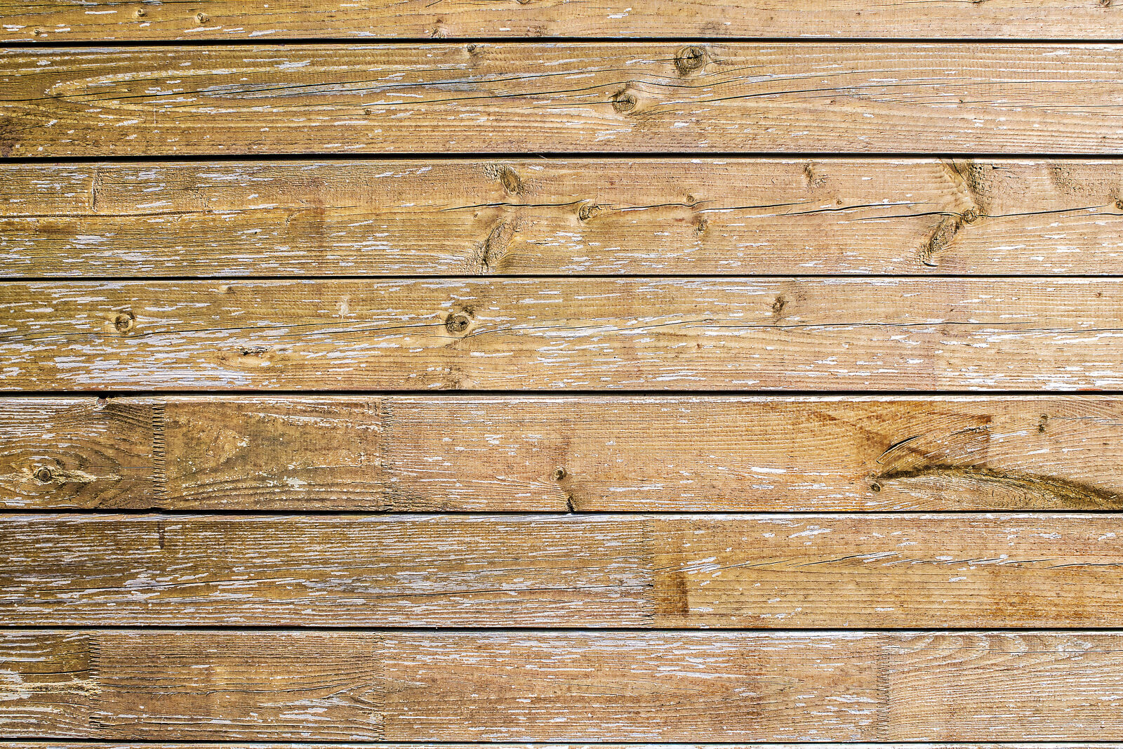 Canon EOS 1100D (EOS Rebel T3 / EOS Kiss X50) sample photo. Background, wooden photography