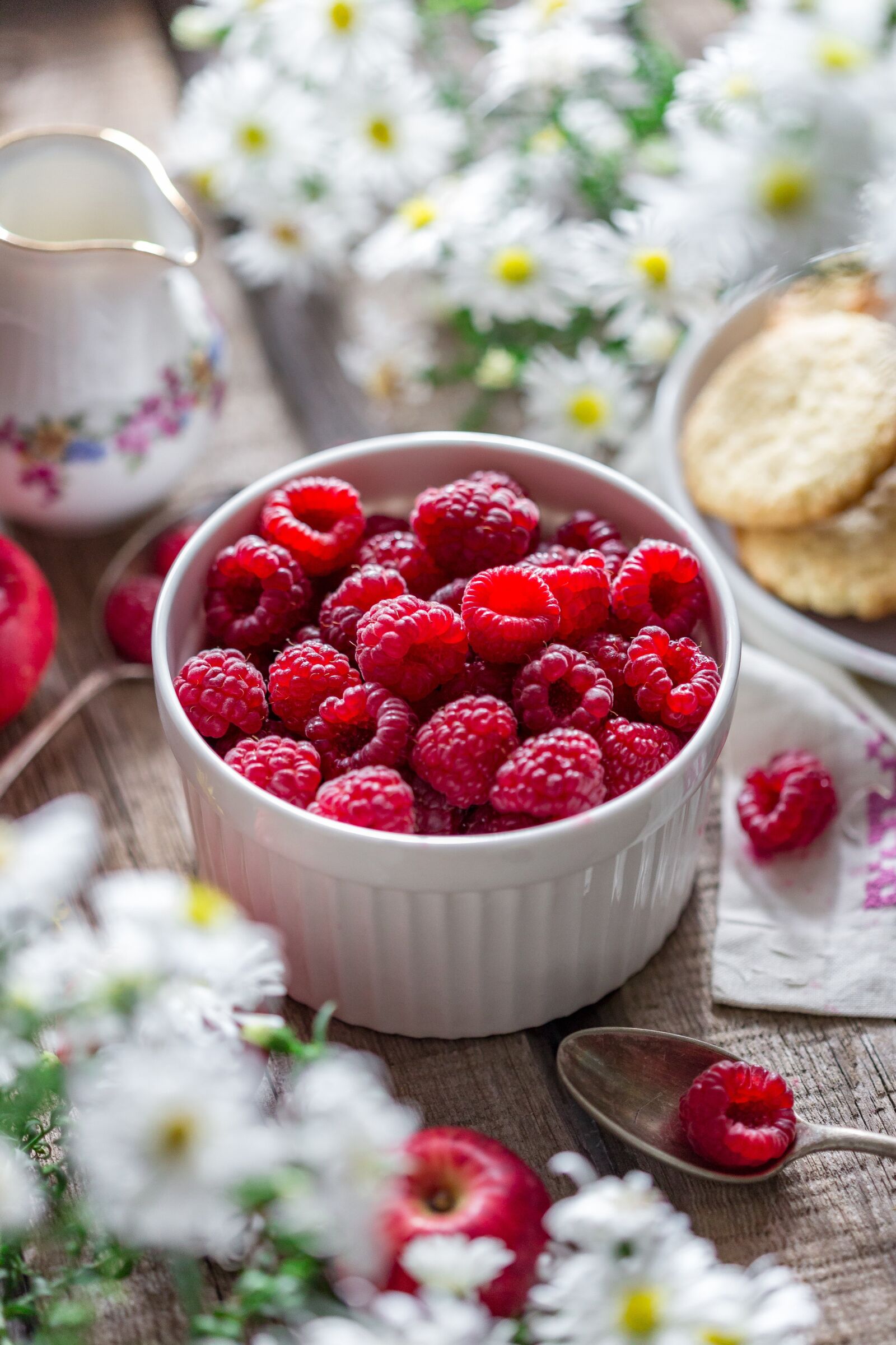 Canon EF 100mm F2.8 Macro USM sample photo. Raspberry, berry, summer photography
