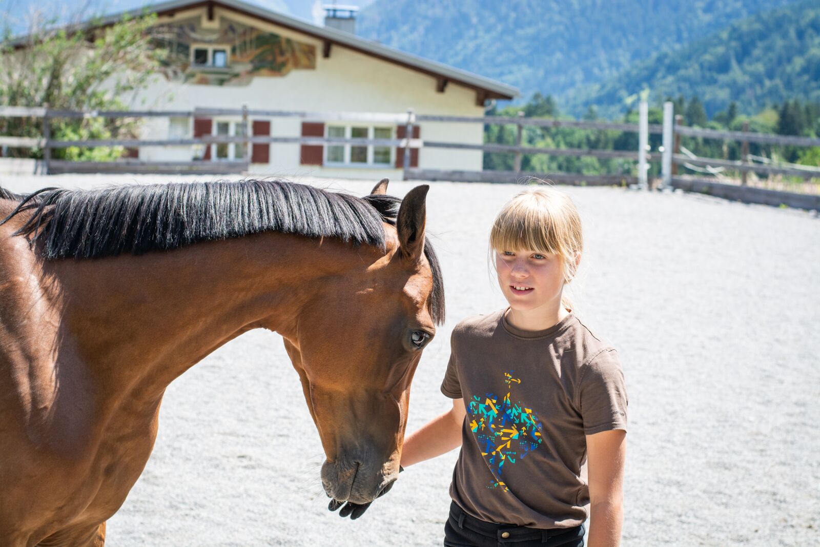 Nikon D7100 sample photo. Horse, pony, brown photography