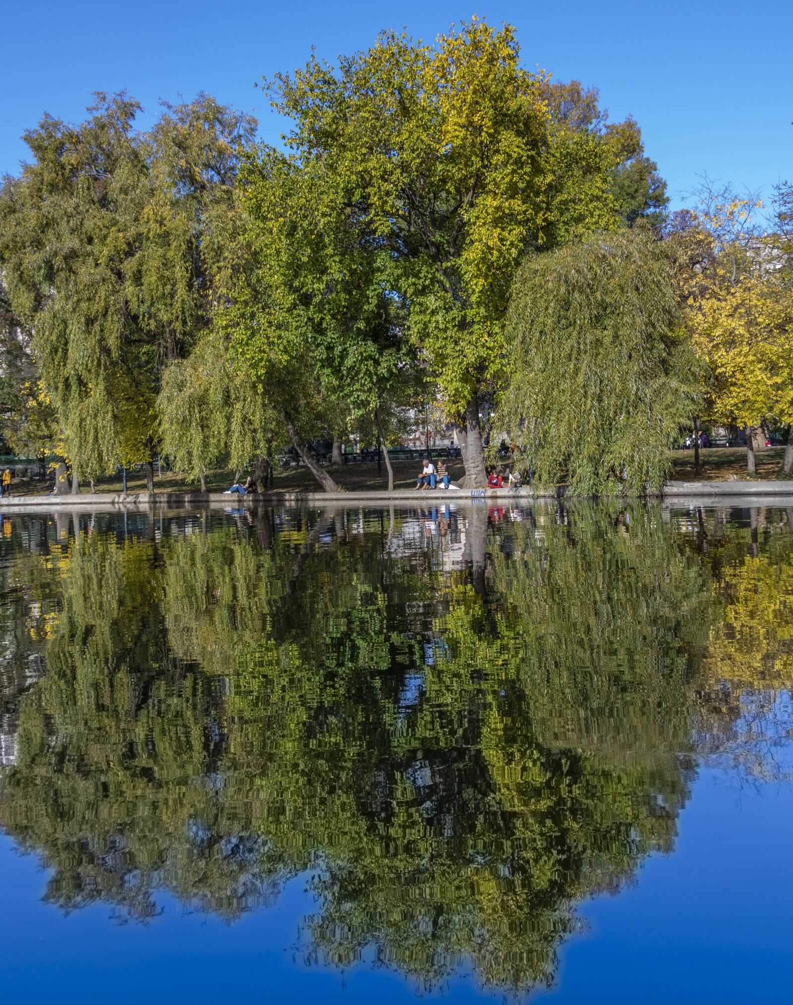 Canon EOS 750D (EOS Rebel T6i / EOS Kiss X8i) + Canon TS-E 90mm F2.8 Tilt-Shift sample photo. Park, reflection, lake photography