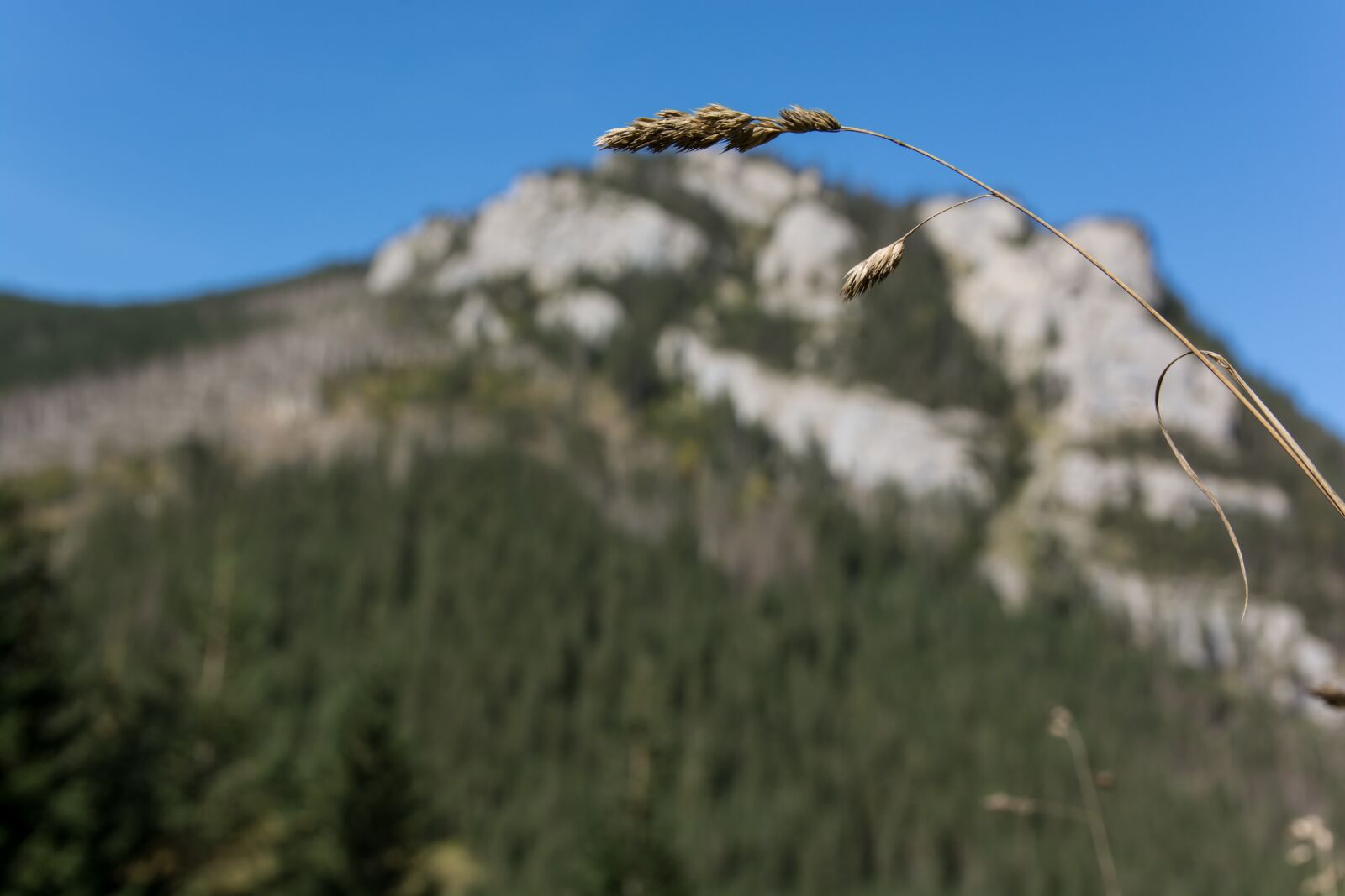 Nikon D7100 sample photo. Tatry, ko cieliska valley photography