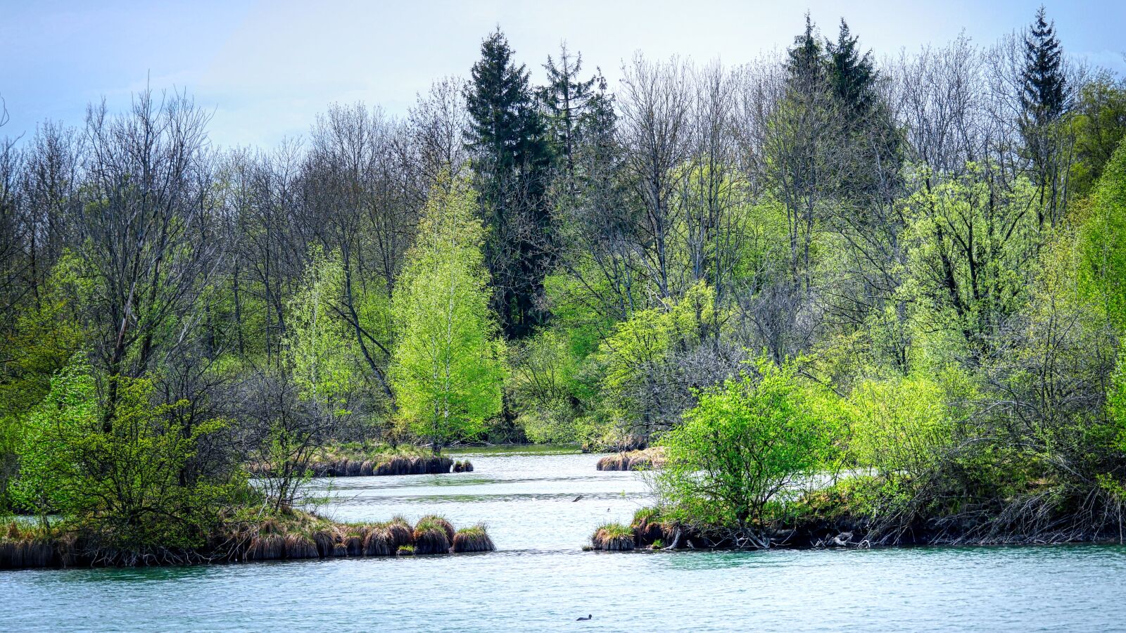 Panasonic Lumix DMC-GX8 sample photo. Lake, landscape, forest photography