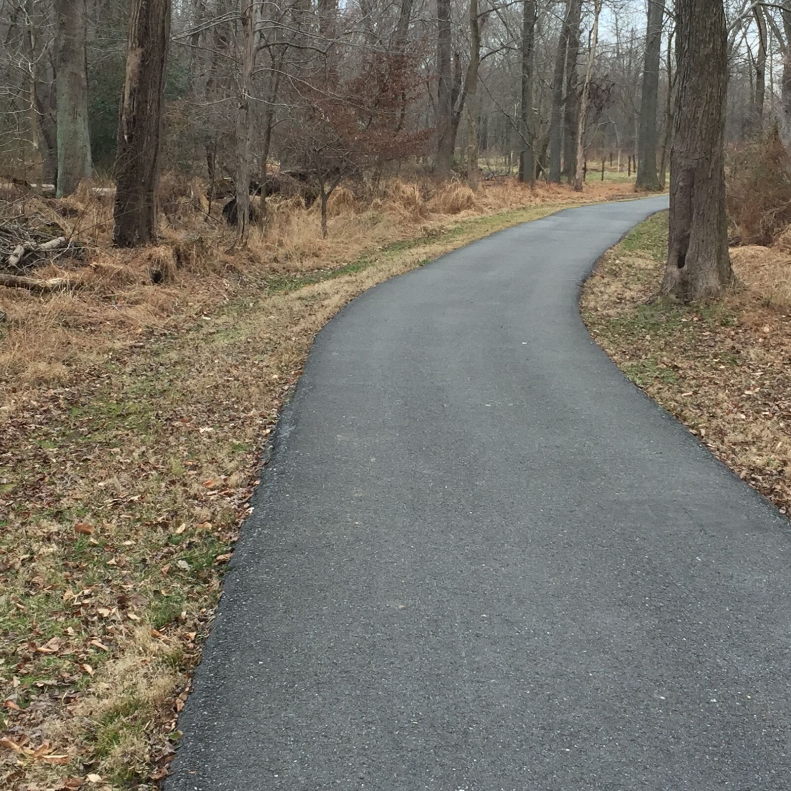 iPhone 6 Plus back camera 4.15mm f/2.2 sample photo. Path, hike, trail photography