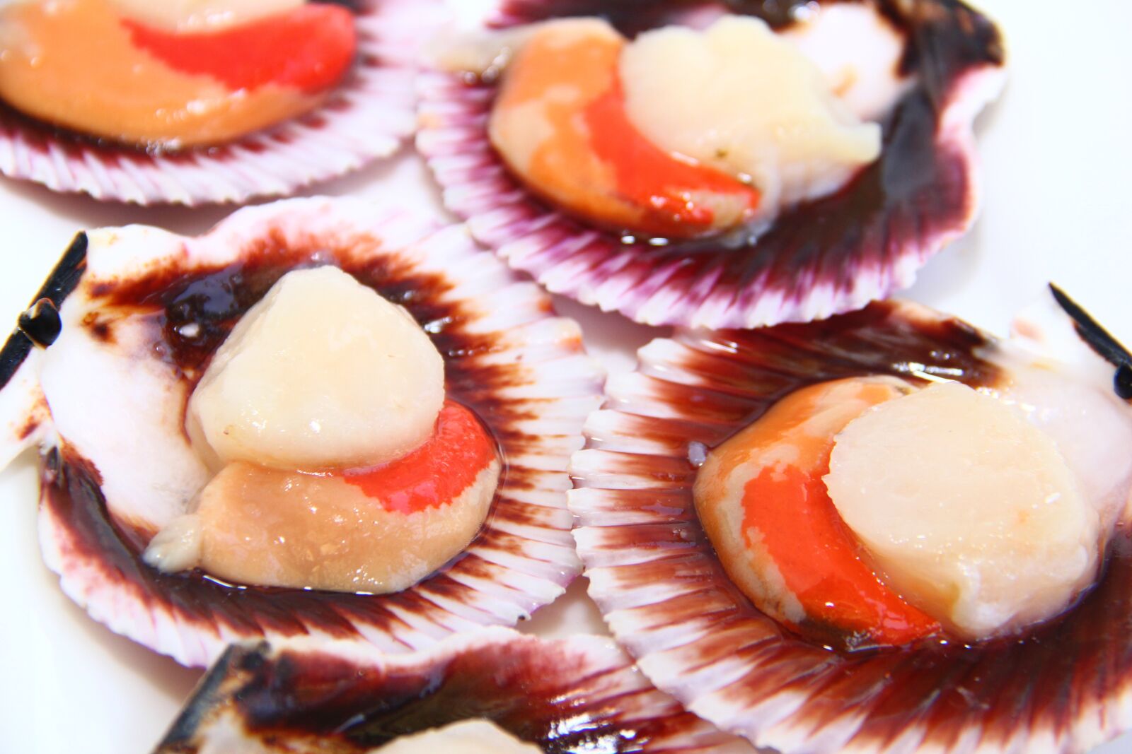 Canon EOS 60D sample photo. Ostiones, seafood, chile photography