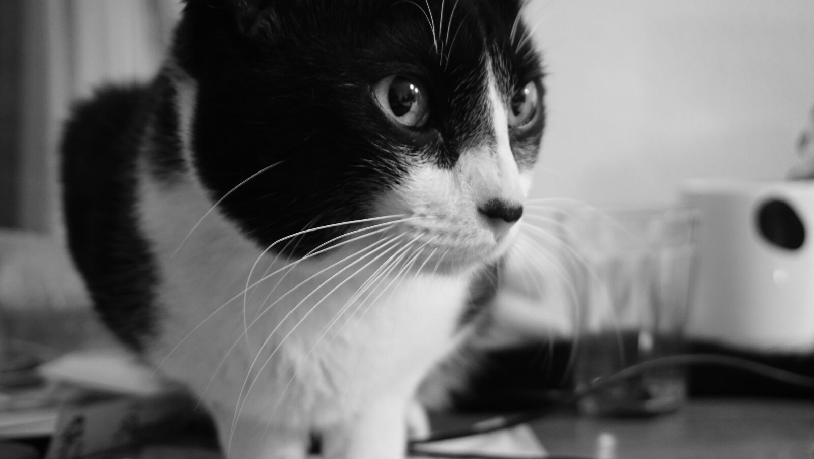 Sony a6000 sample photo