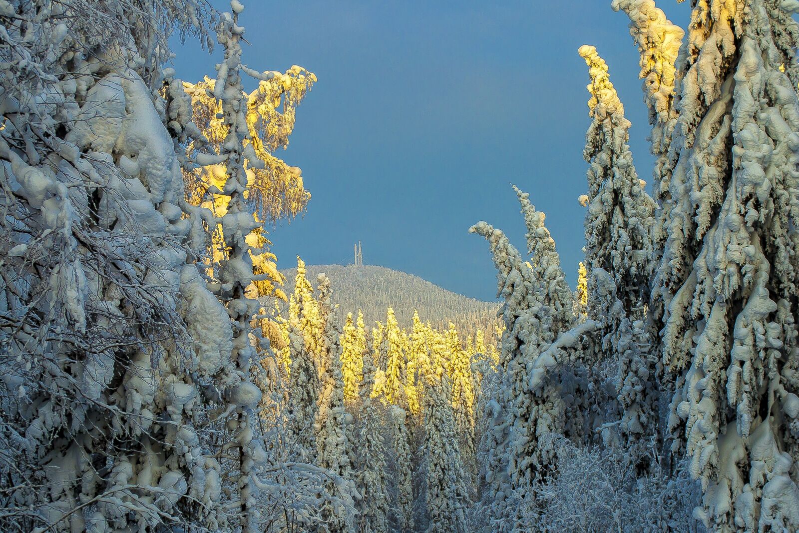 Nikon D5000 sample photo. Winter, russia, snow photography
