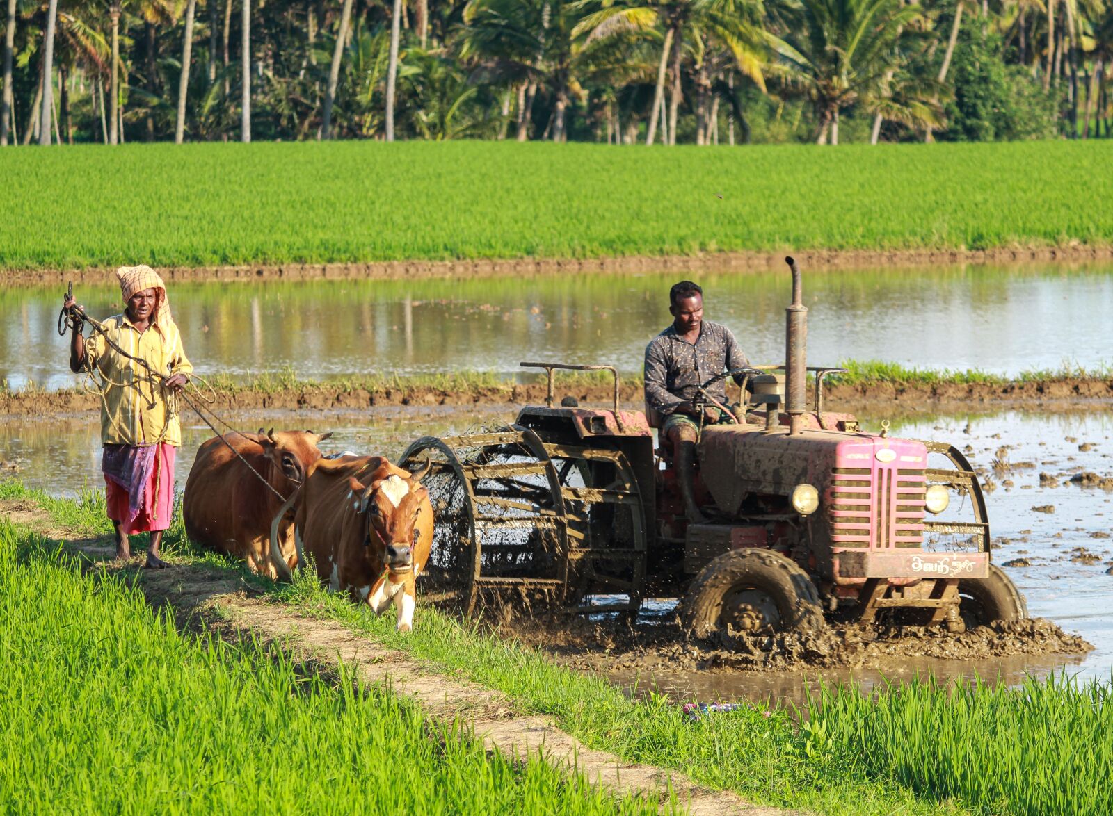 Canon EOS 1300D (EOS Rebel T6 / EOS Kiss X80) sample photo. Plough, farming, tractor photography
