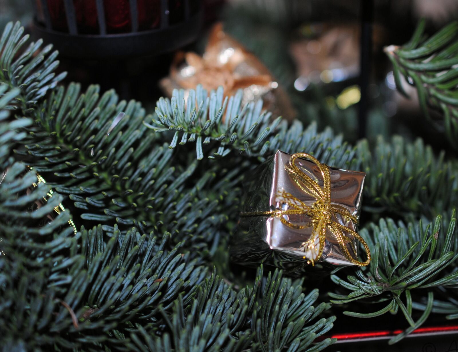 Nikon D3000 sample photo. Fir tree, christmas decorations photography