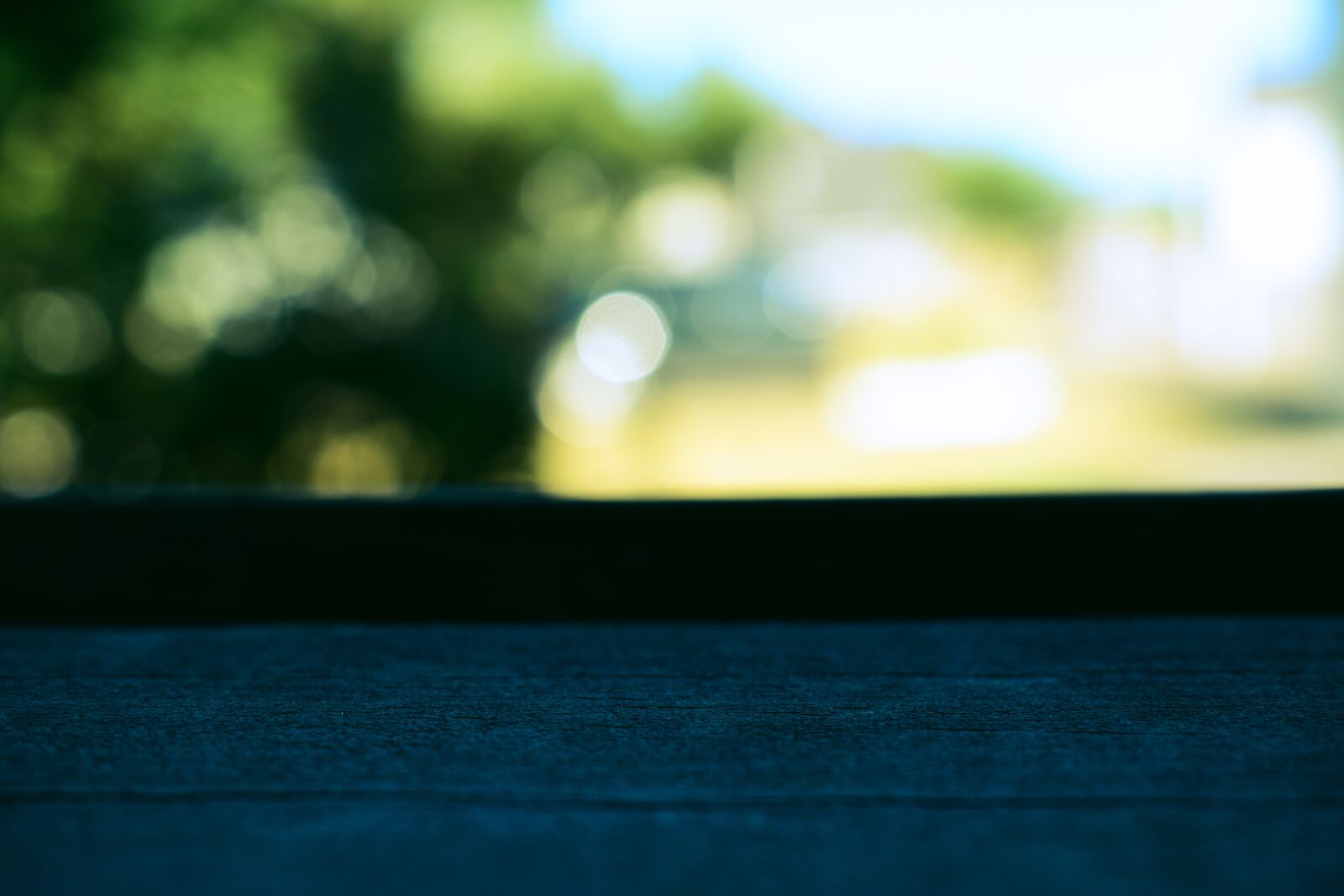 Nikon D5600 sample photo. Wood, edge, macro photography