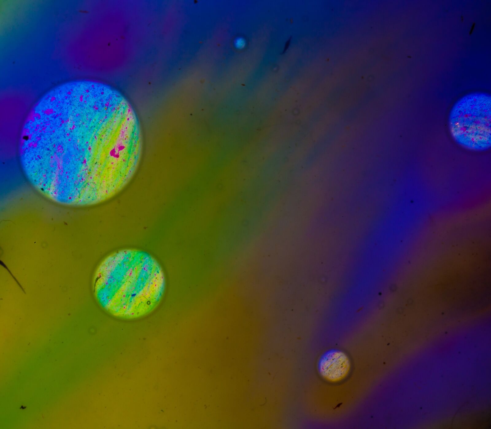 Canon EOS 5D sample photo. Art, bubble, color photography