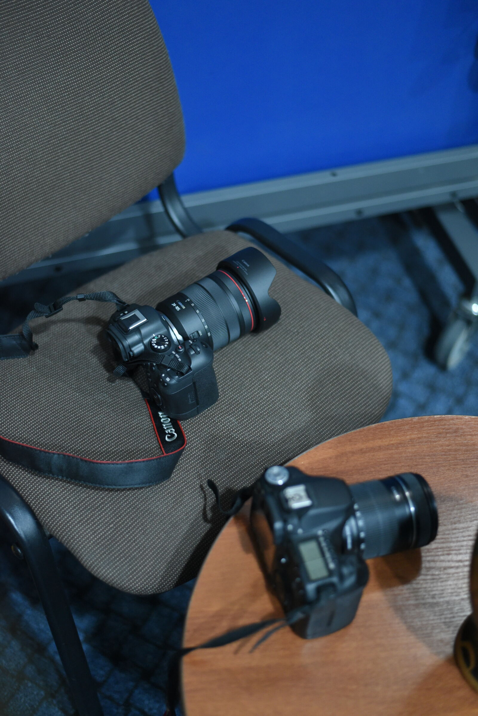 Nikon D750 + Nikon AF-S Nikkor 50mm F1.8G sample photo