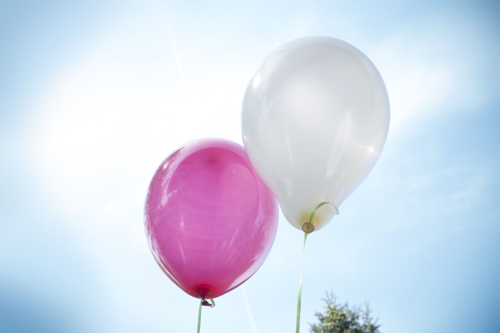 Sony Cyber-shot DSC-RX100 III sample photo. Balloon, helium, air photography