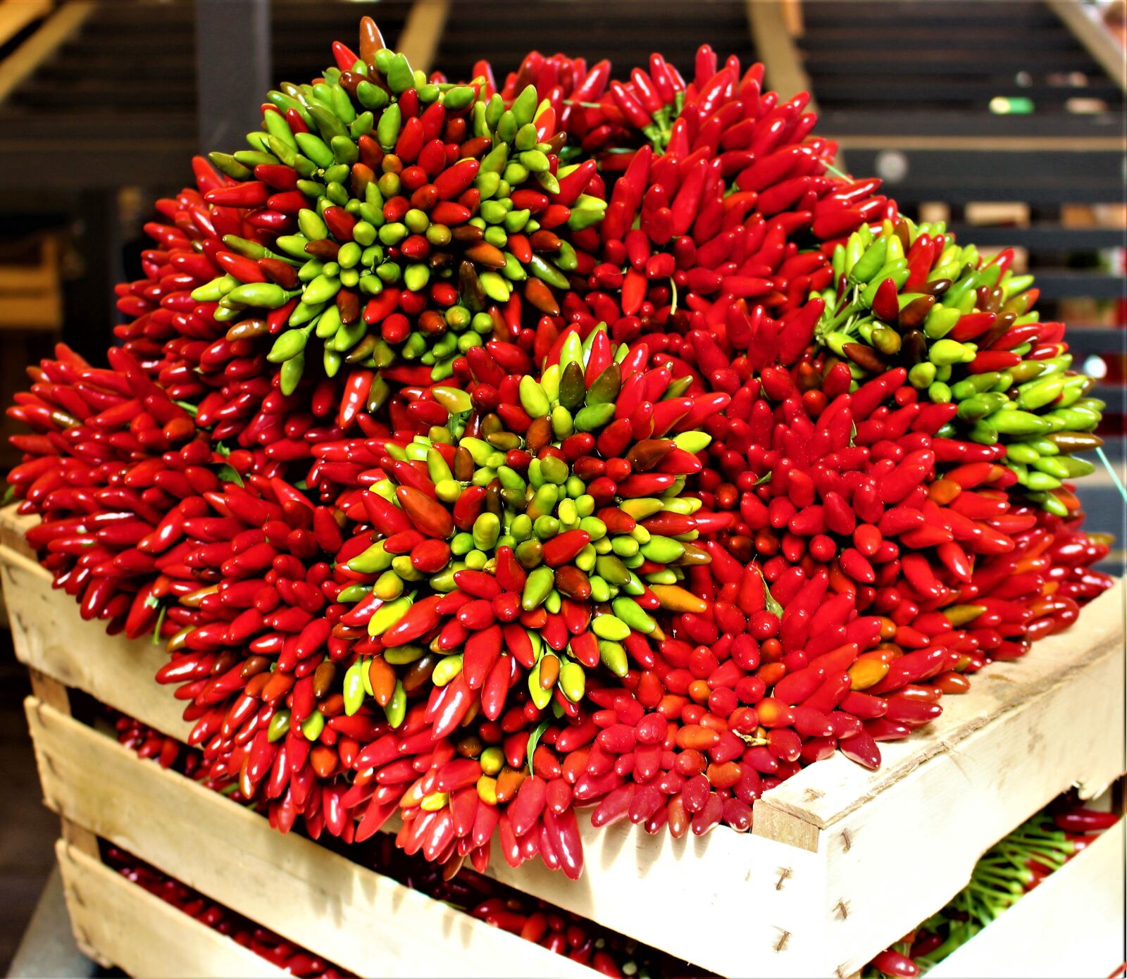 Canon EOS 700D (EOS Rebel T5i / EOS Kiss X7i) sample photo. Pepper, spices, market photography