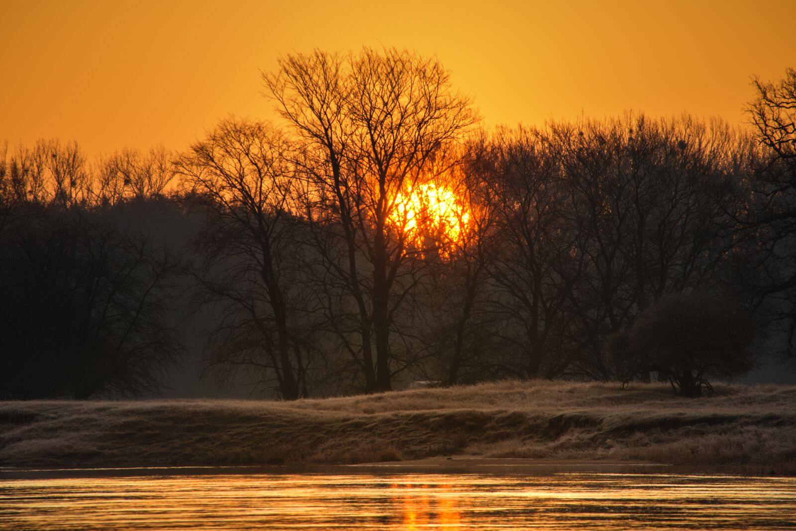 Nikon D7200 sample photo. Sunrise, river, trees photography