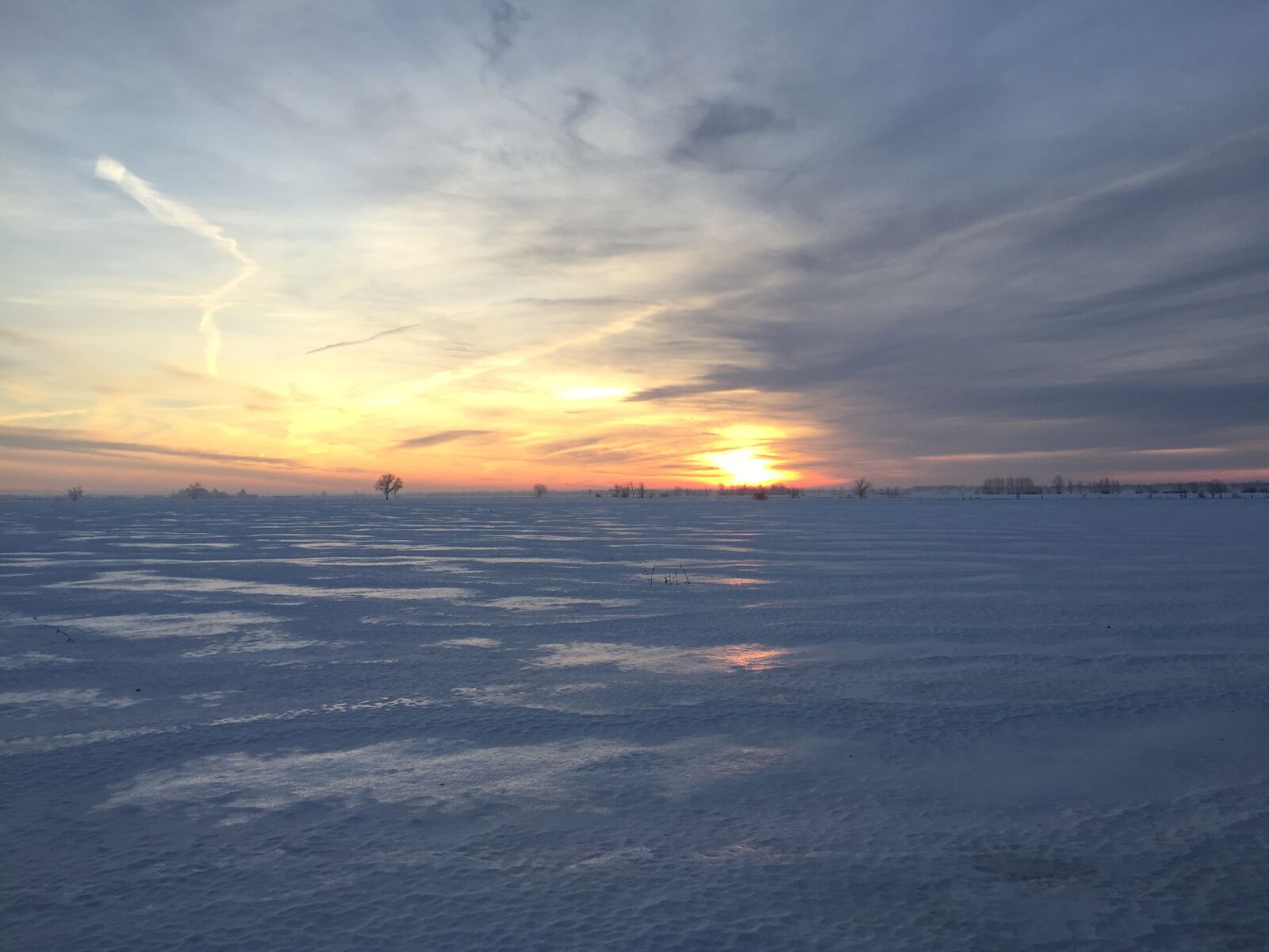 iPhone 6 back camera 4.15mm f/2.2 sample photo. Landscape, ottawa, greenbelt, snow photography