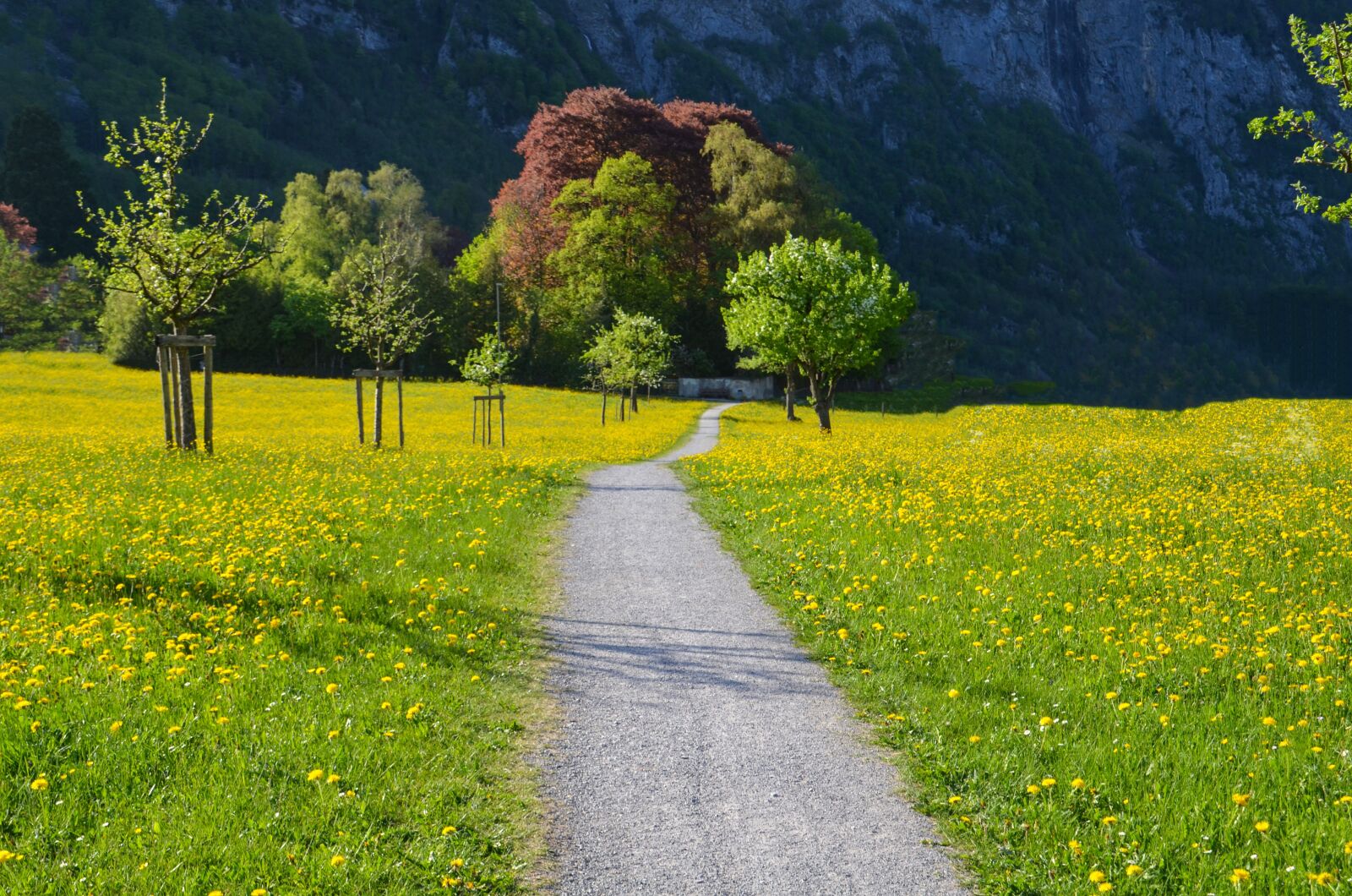 Nikon D7000 sample photo. Away, target, nature photography
