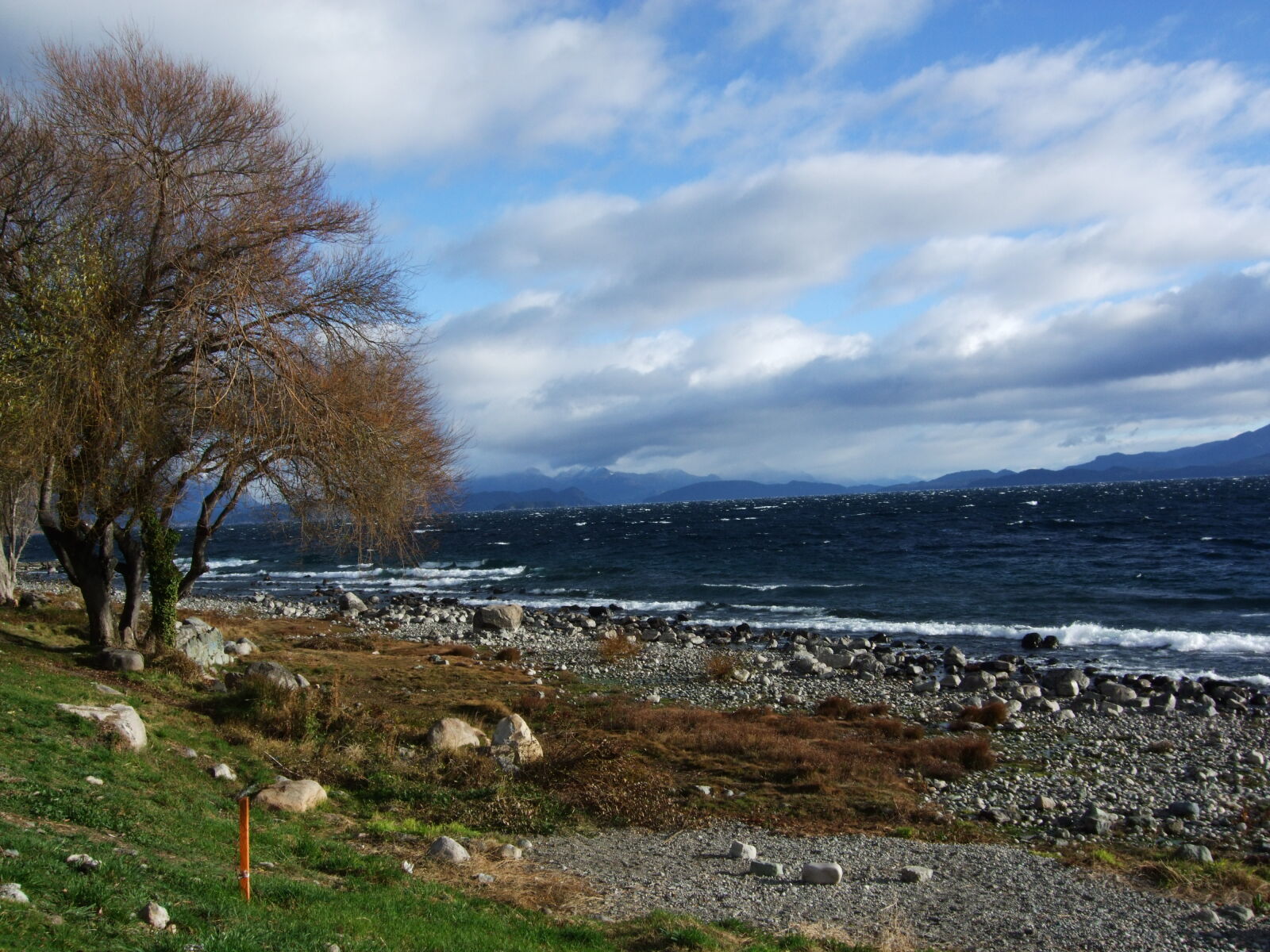 Fujifilm FinePix F50fd sample photo
