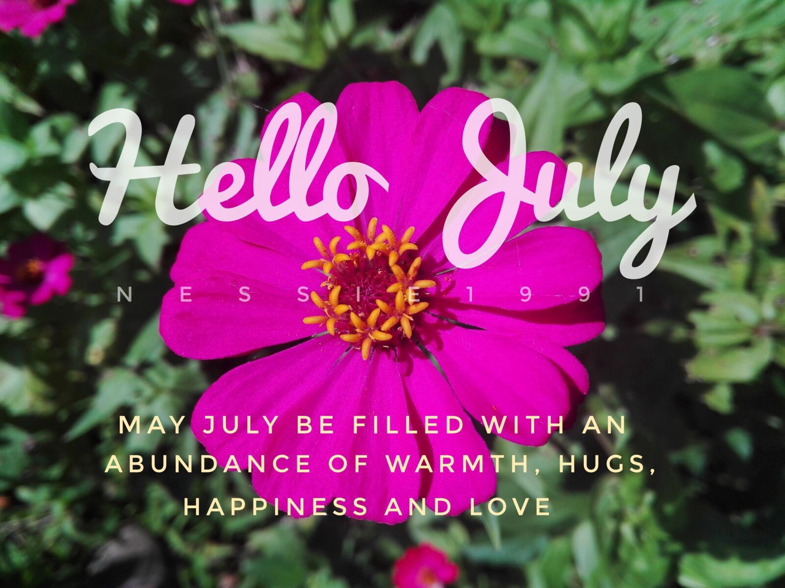 HUAWEI Y6II sample photo. Flowers, wallpaper, motivation, pinkflowers photography