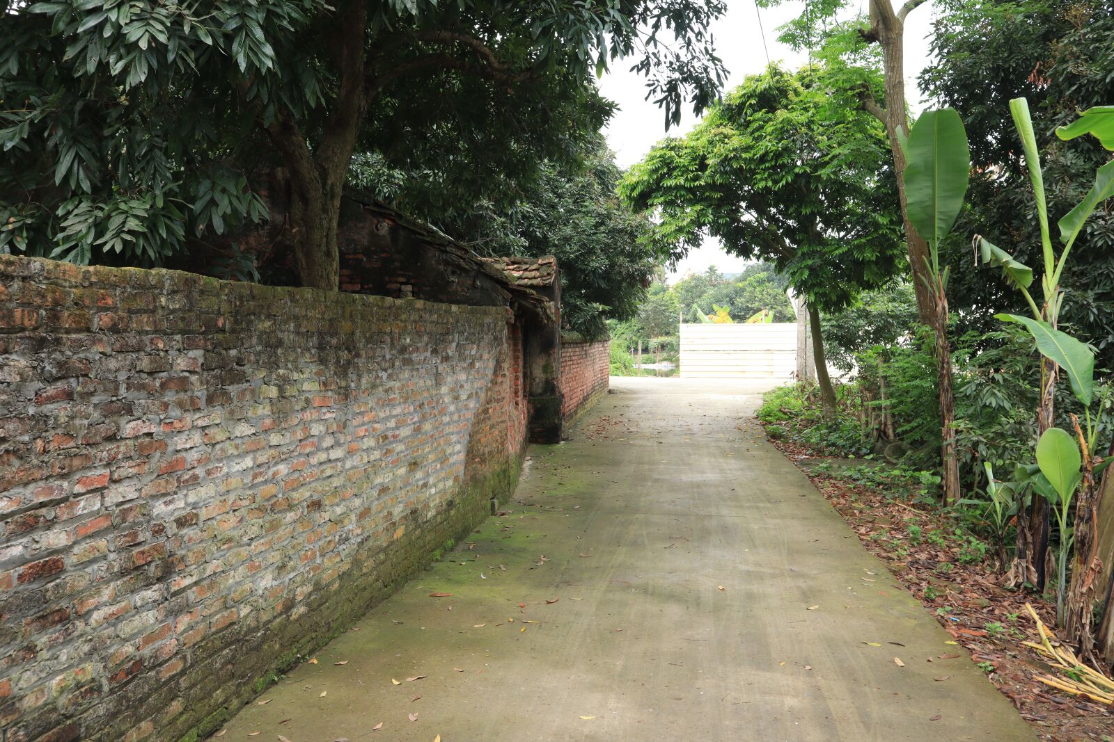 Canon EOS M50 (EOS Kiss M) sample photo. Lane, street, home photography