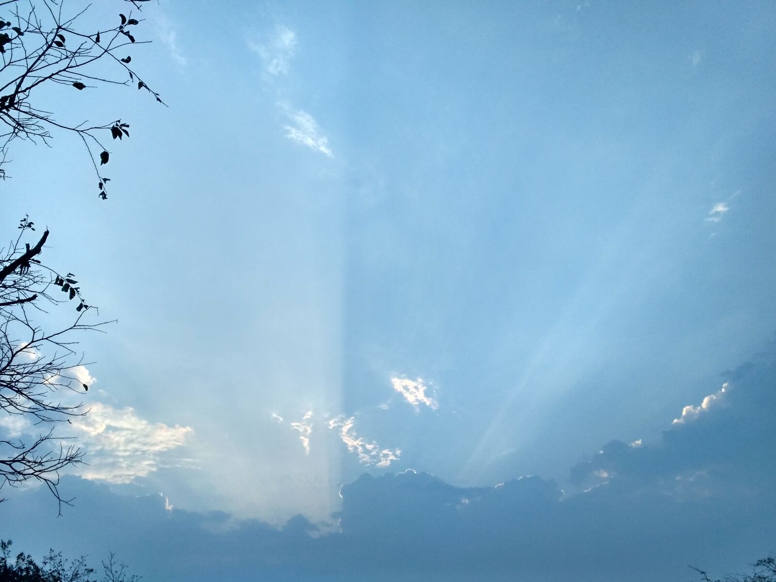 Xiaomi Redmi 3S sample photo. Blue, sky photography
