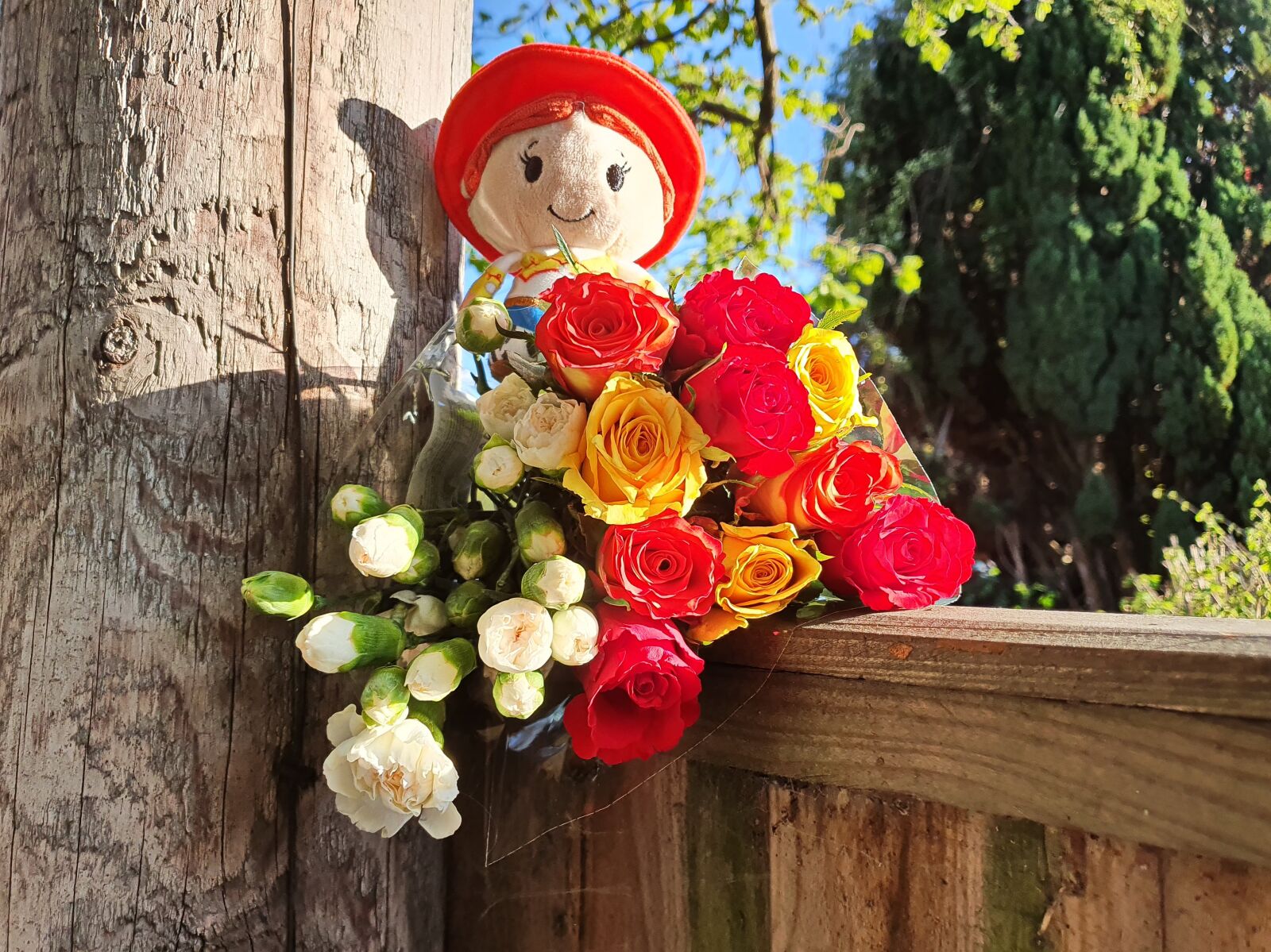 Samsung Galaxy S10 sample photo. Roses, doll, cute photography