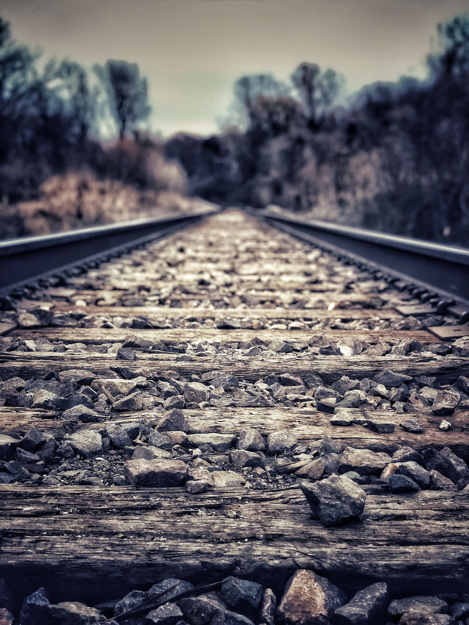 iPhone X back dual camera 6mm f/2.4 sample photo. Train, tracks, trees photography