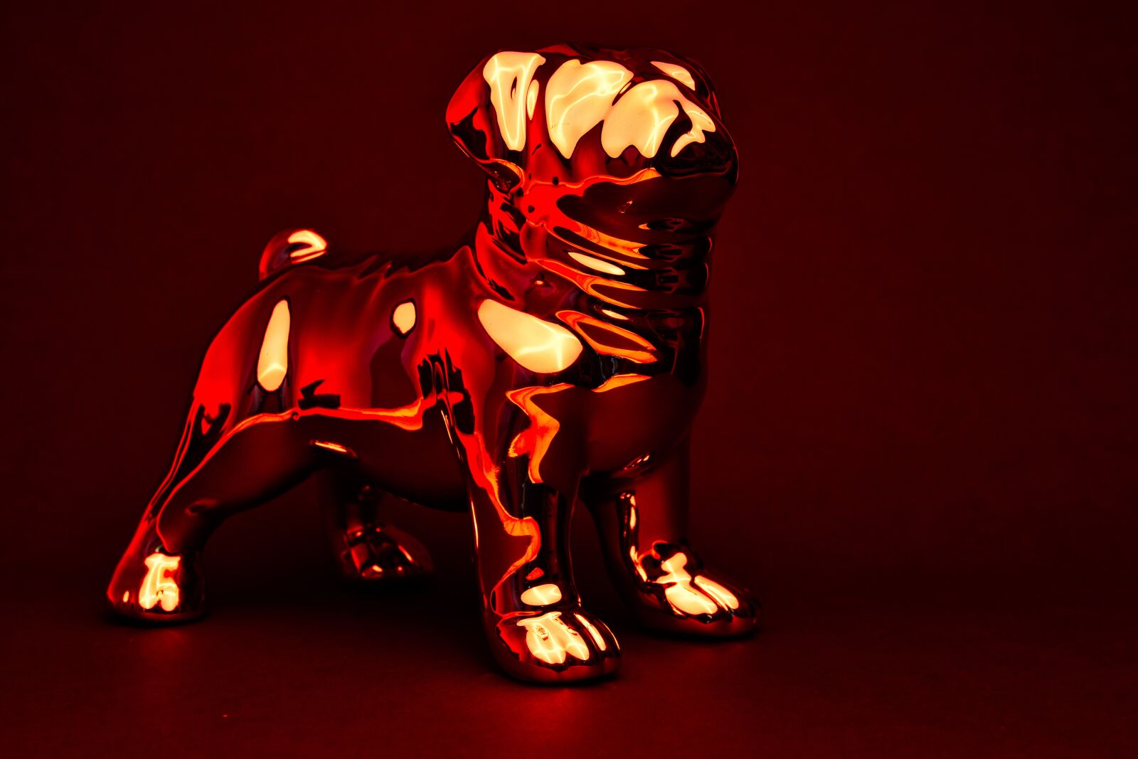 Canon 18-35mm F1.8 DC HSM | Art 013 sample photo. Dog, chrome, reflection photography