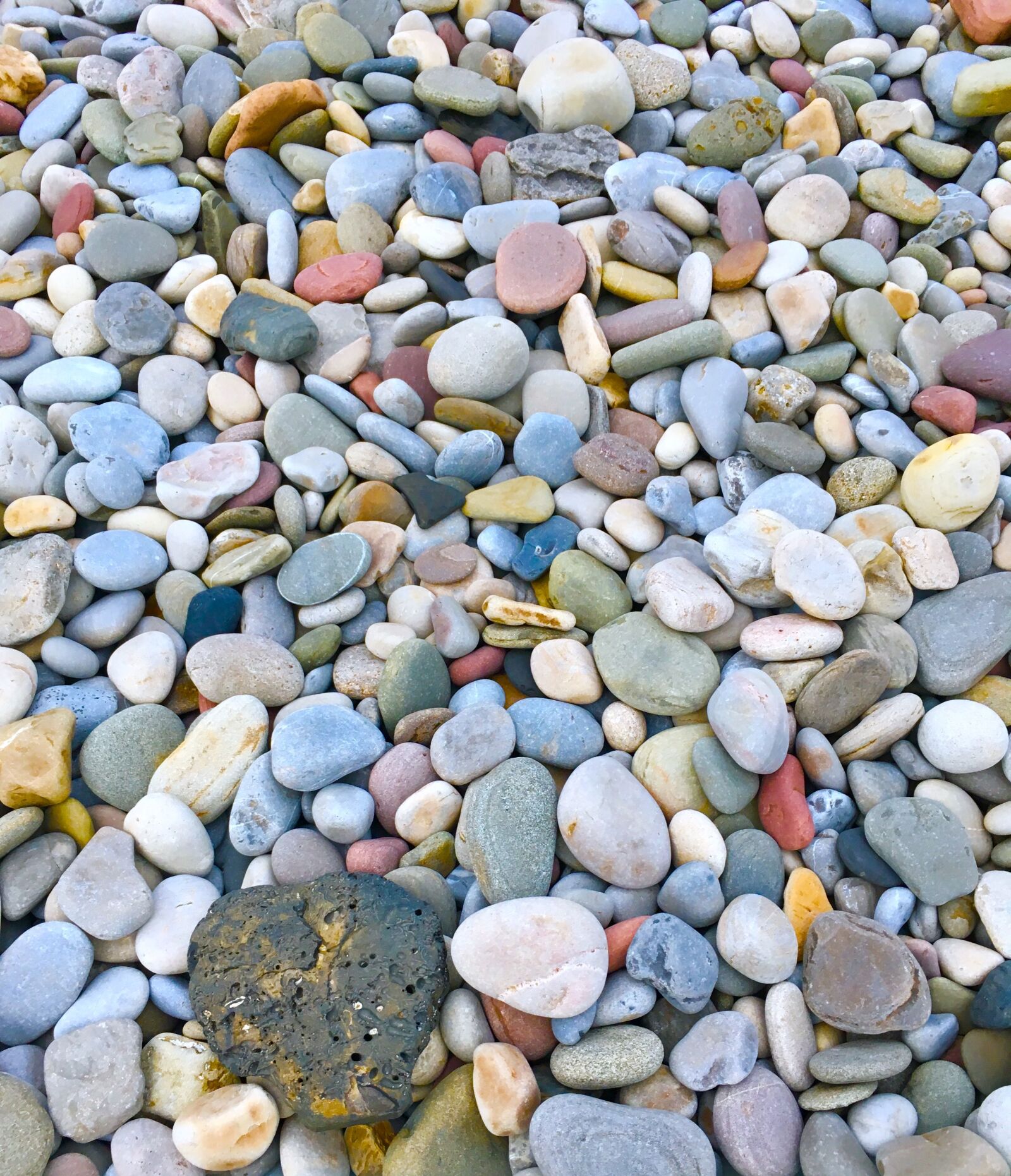 iPhone SE back camera 4.15mm f/2.2 sample photo. Pebbles, seashore, rocks photography