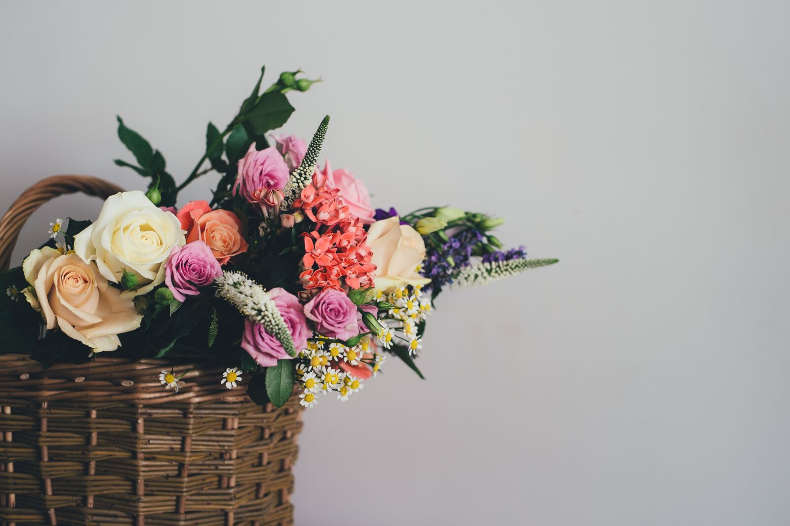 Nikon D4S sample photo. Basket, bloom, blossom photography